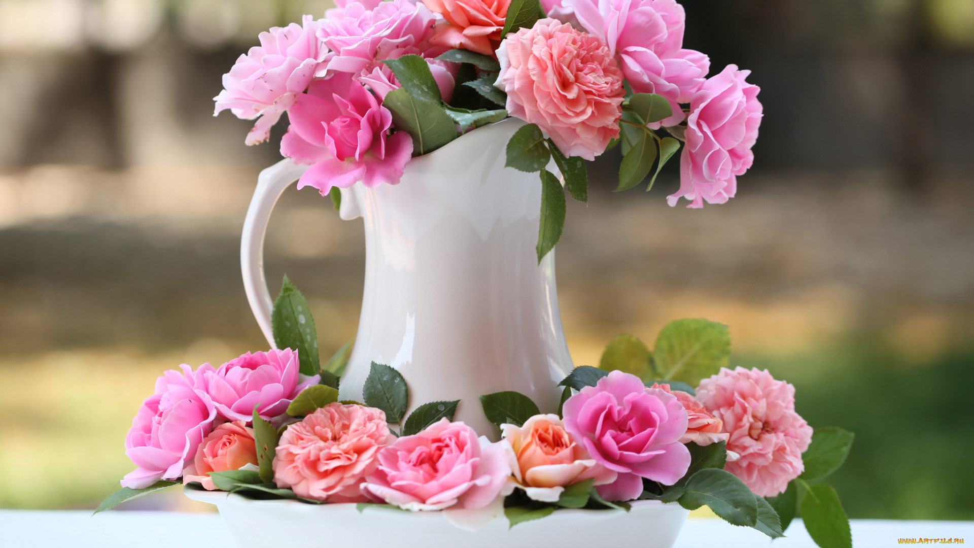 цветы, розы, кувшин, бутоны, elena, di, guardo