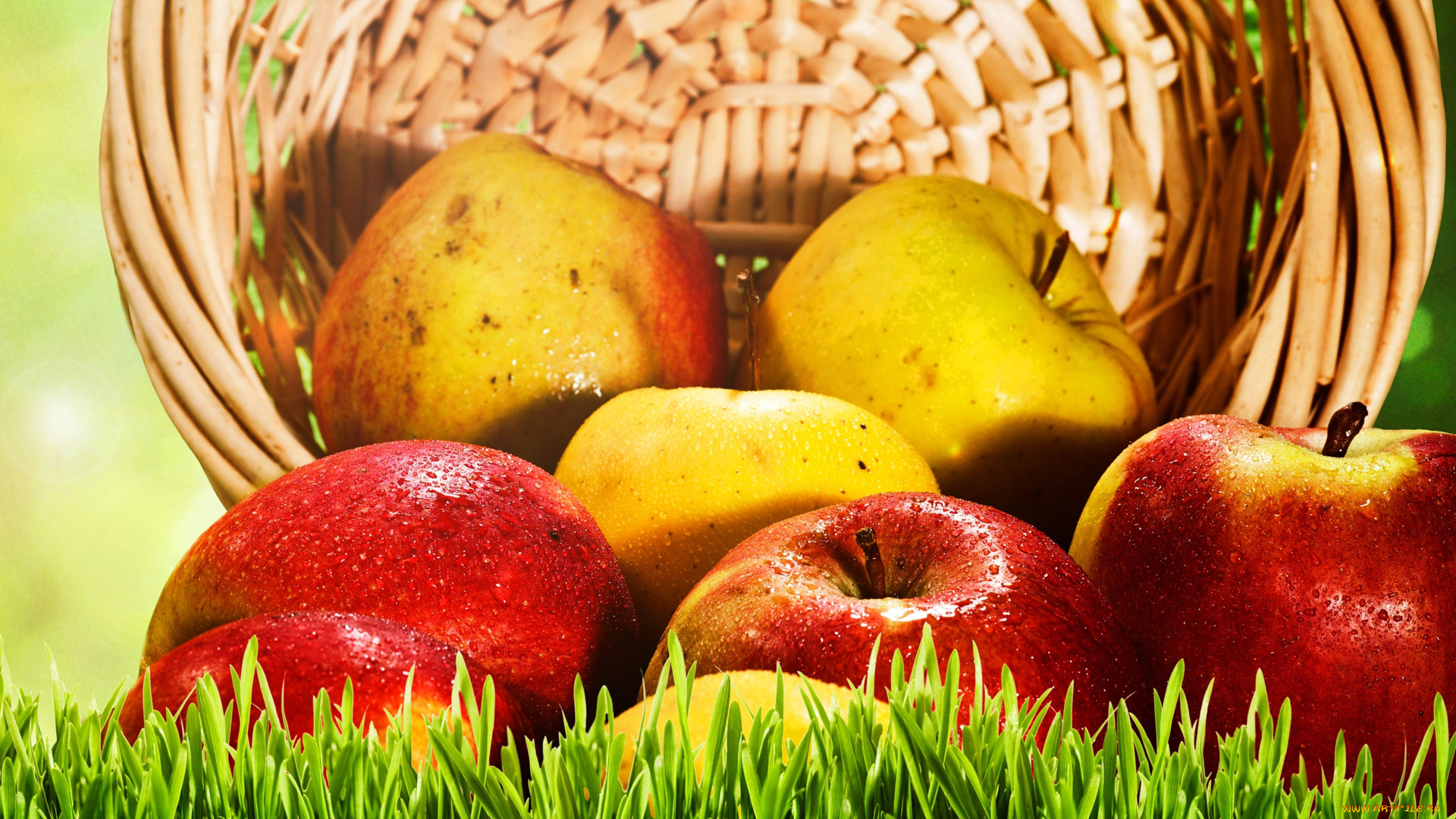 еда, Яблоки, трава, корзина