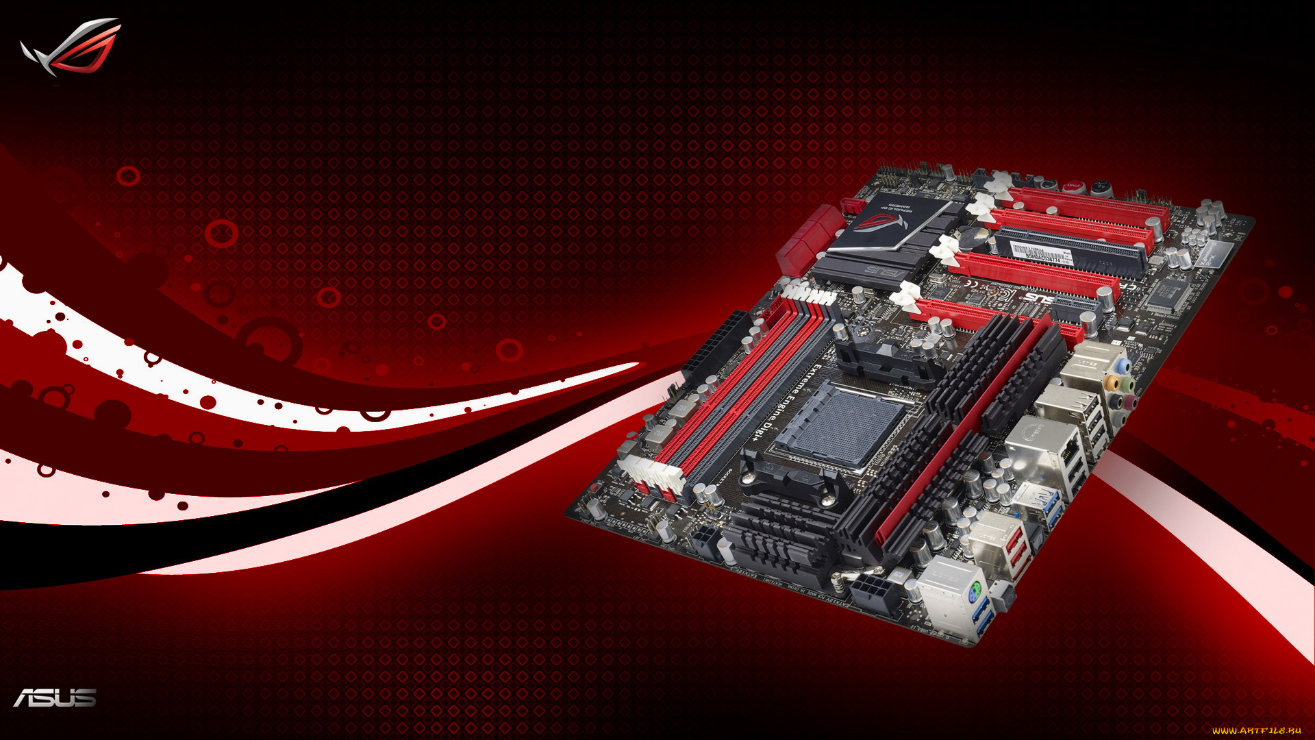 компьютеры, asus