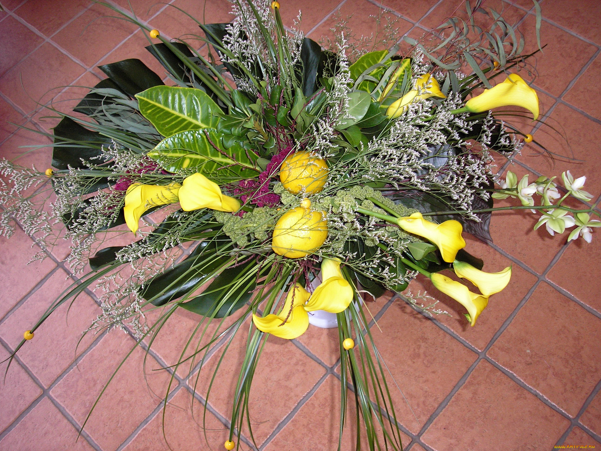 цветы, букеты, композиции, букет, каллы