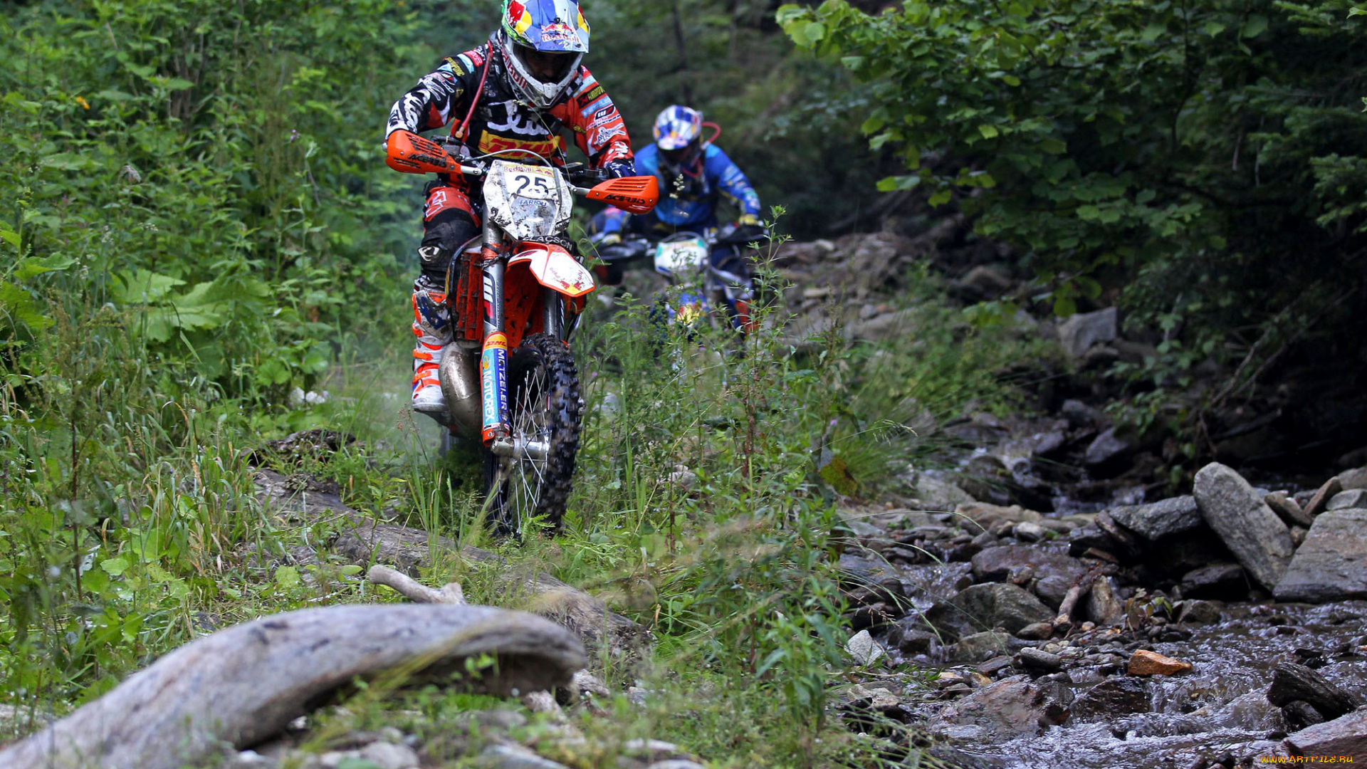 спорт, мотокросс, 2013, гонка