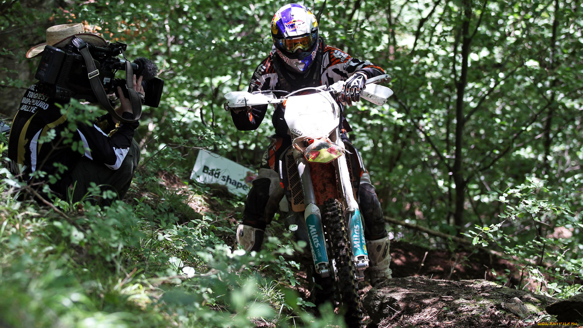 спорт, мотокросс, 2013, гонка