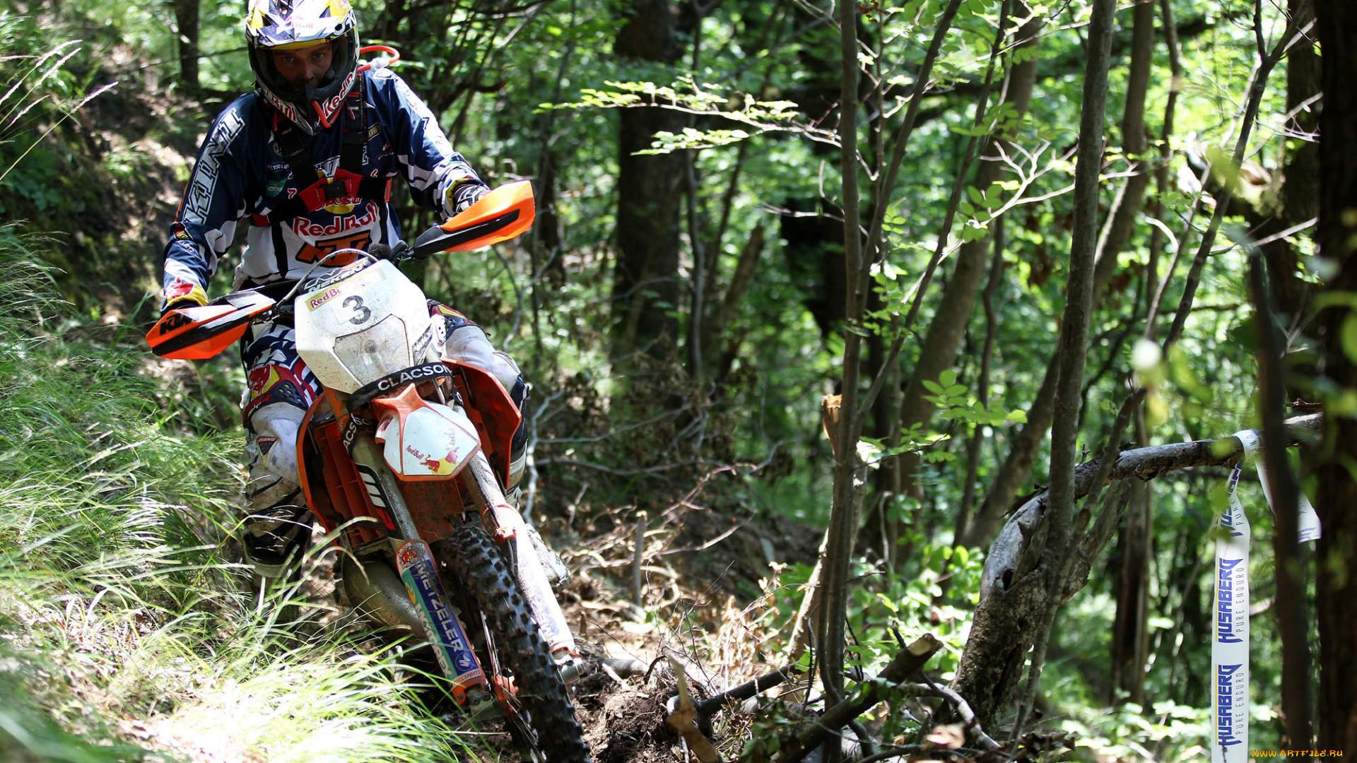 спорт, мотокросс, 2013, гонка