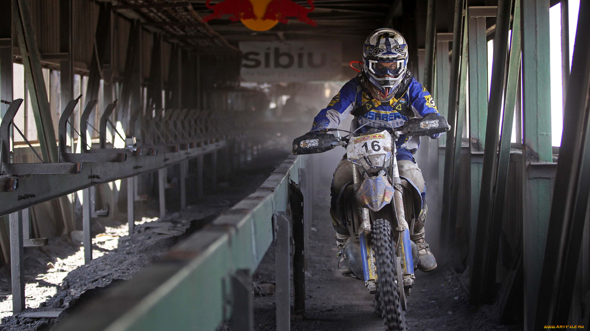 спорт, мотокросс, 2013, гонка