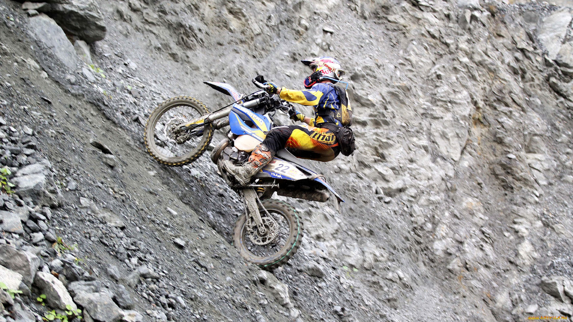 спорт, мотокросс, 2013, гонка