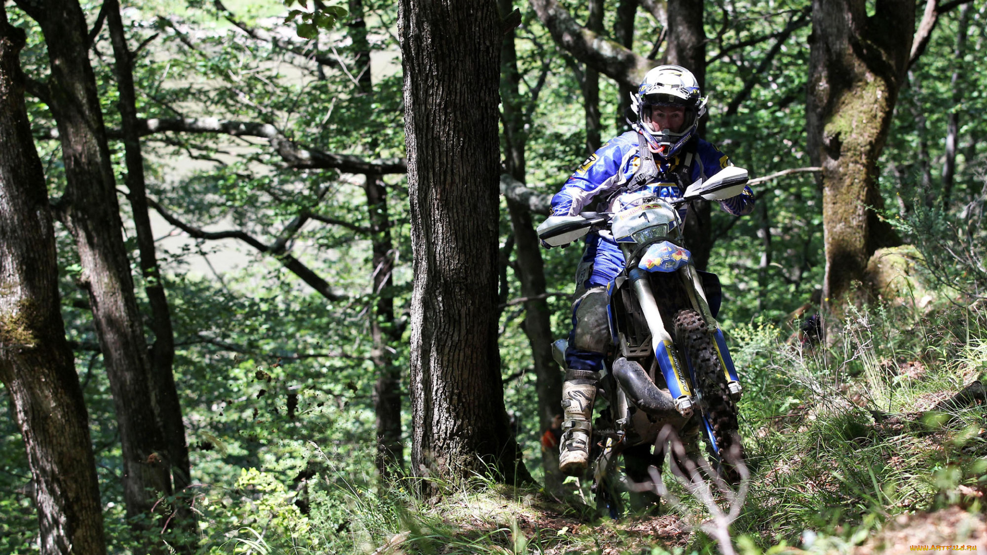 спорт, мотокросс, 2013, гонка