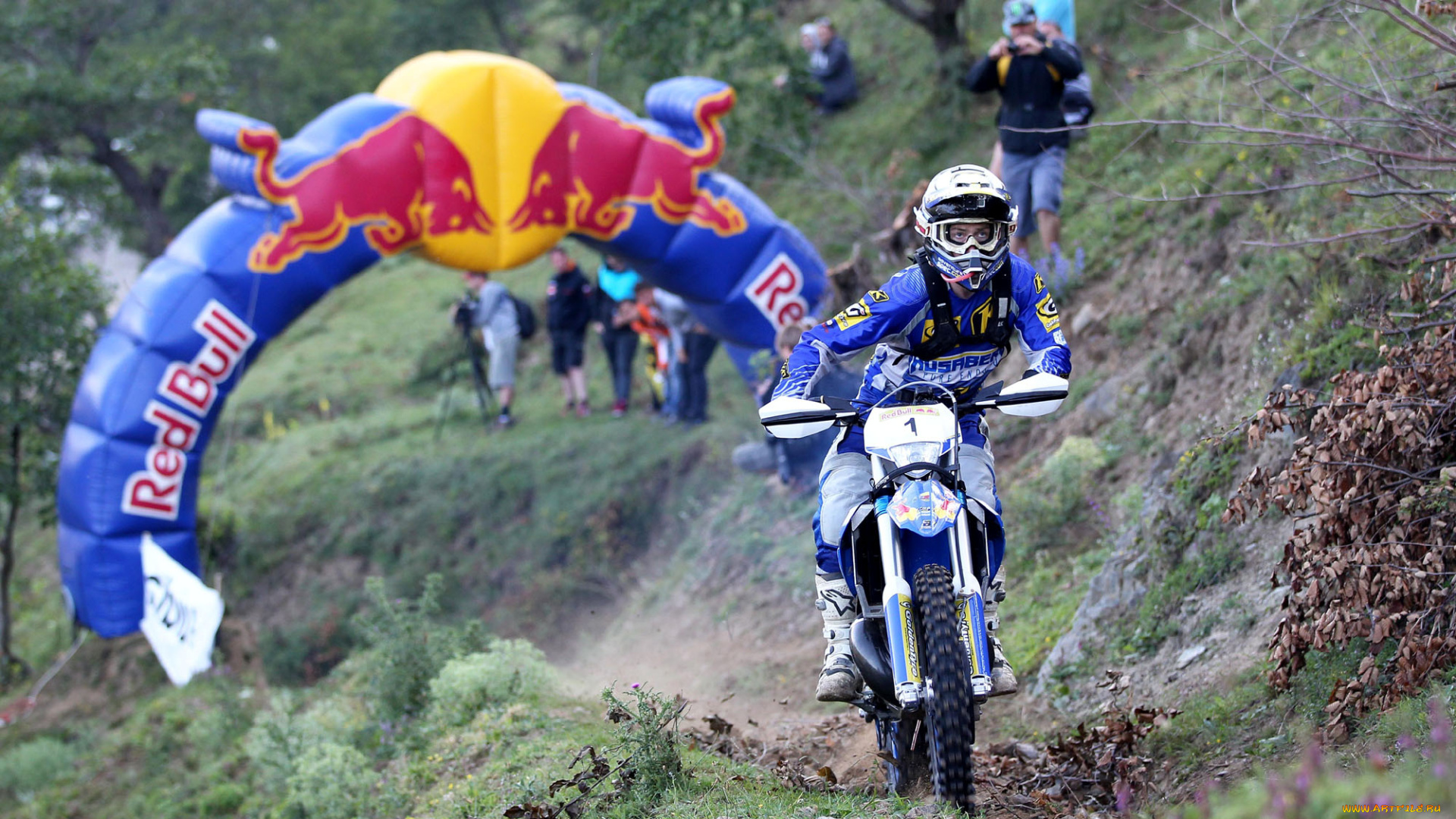 спорт, мотокросс, 2013, гонка