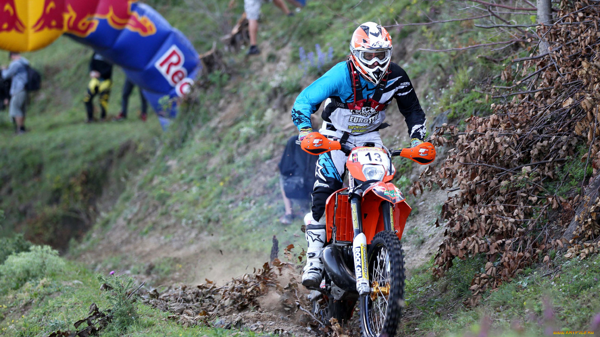 спорт, мотокросс, 2013, гонка