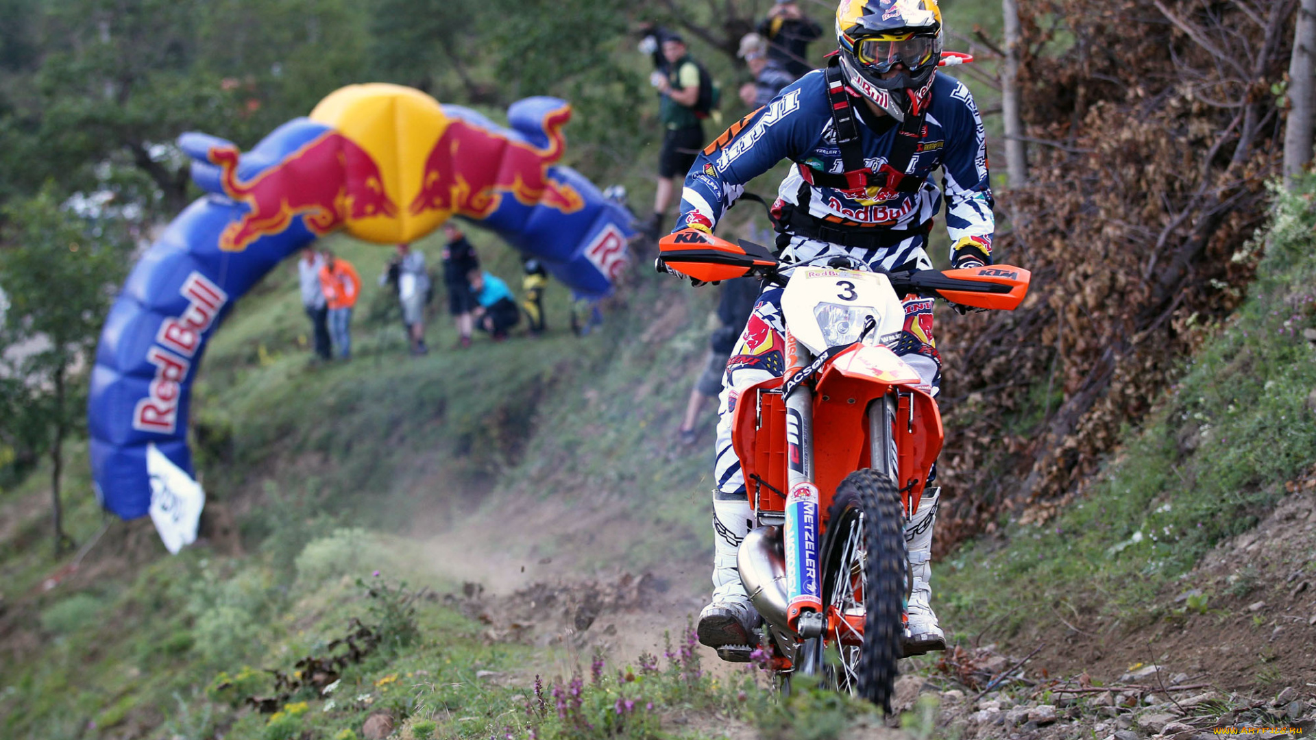 спорт, мотокросс, 2013, гонка