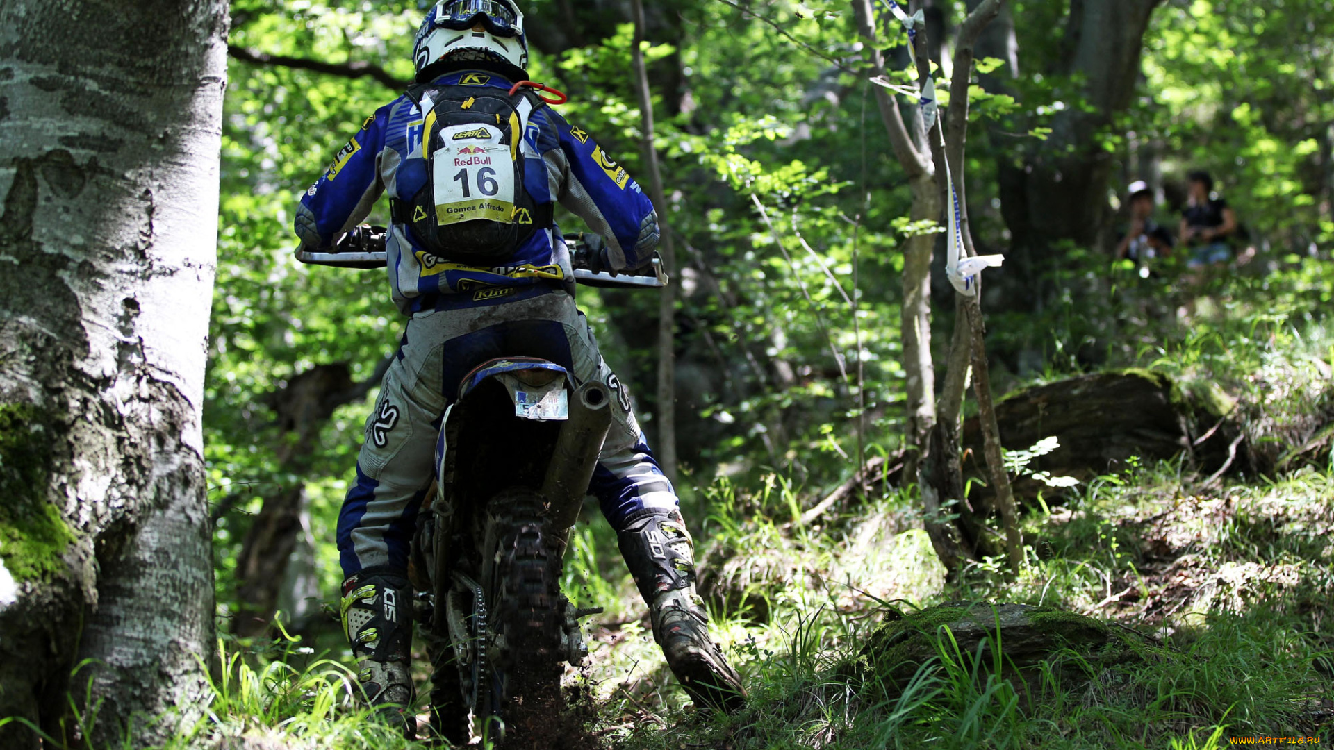 спорт, мотокросс, гонка, 2013