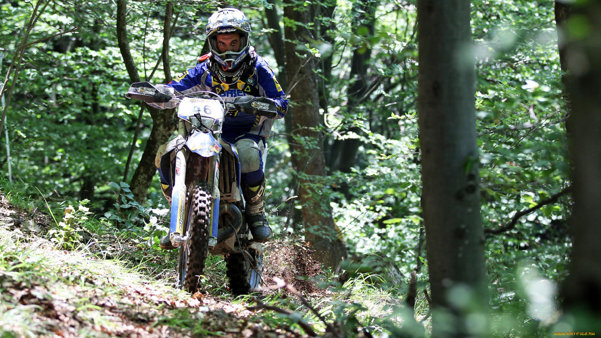 спорт, мотокросс, гонка, 2013