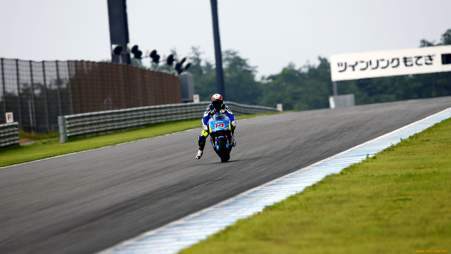 спорт, мотоспорт, suzuki, motogp