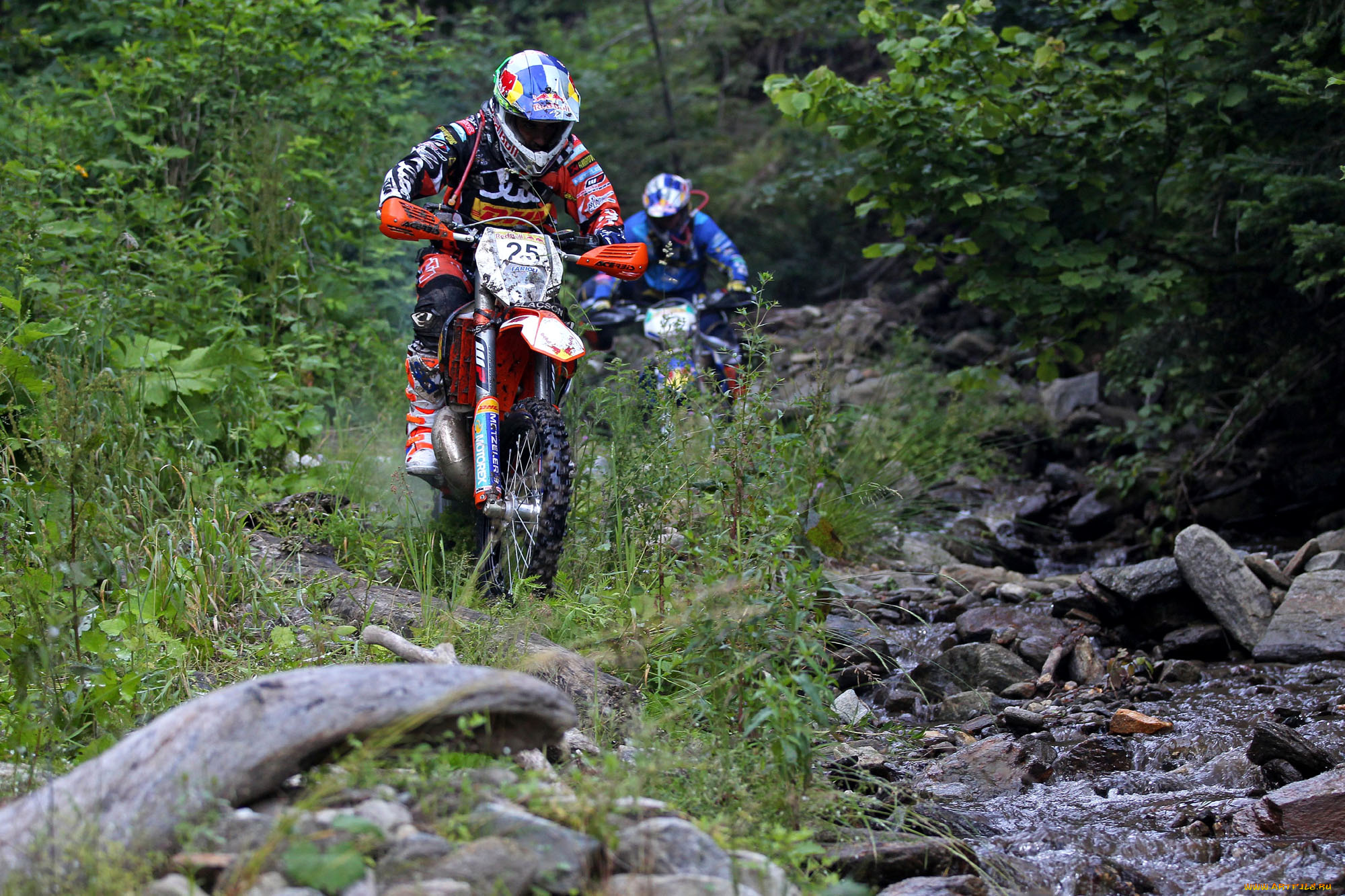 спорт, мотокросс, 2013, гонка