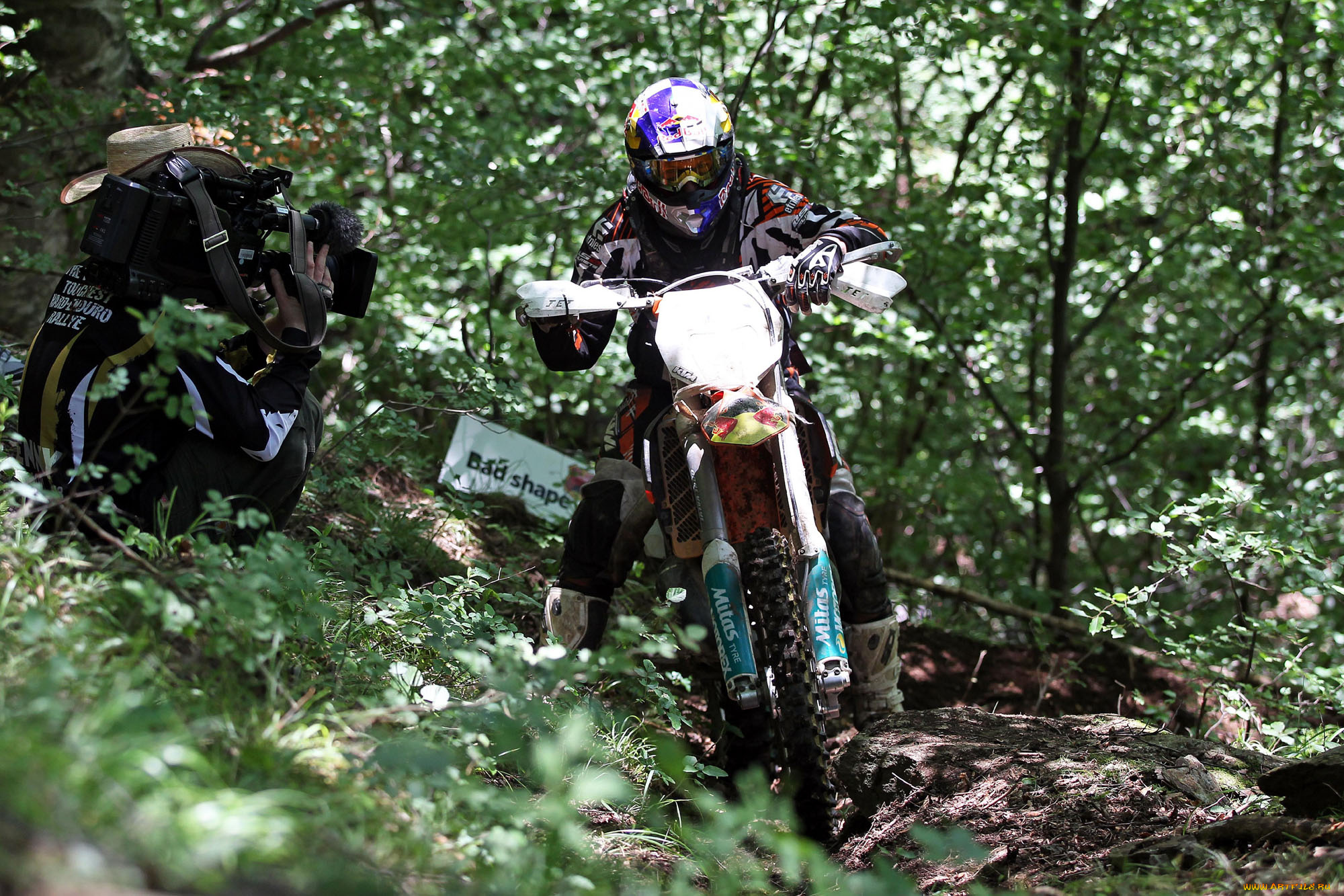 спорт, мотокросс, 2013, гонка