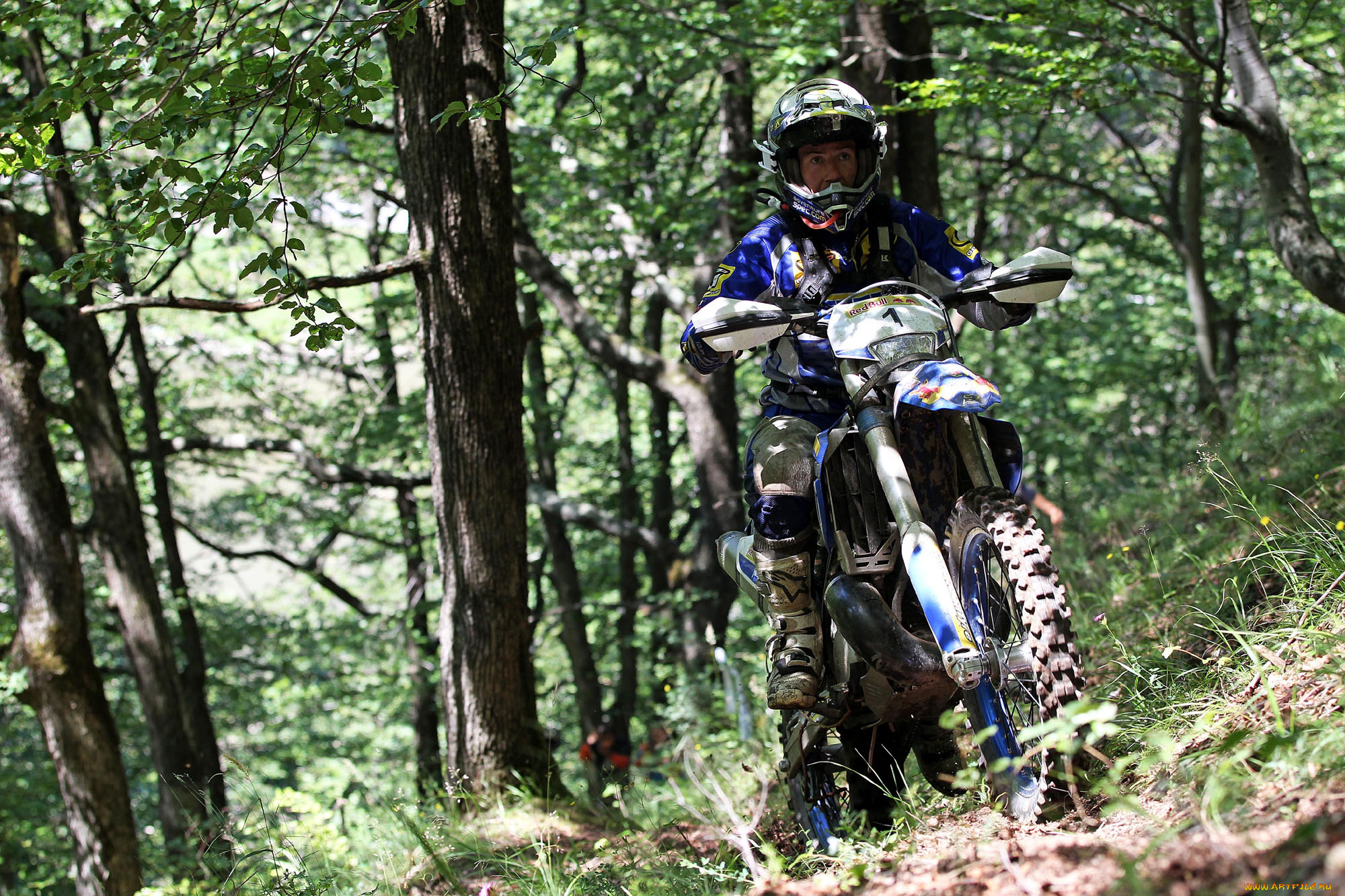 спорт, мотокросс, 2013, гонка