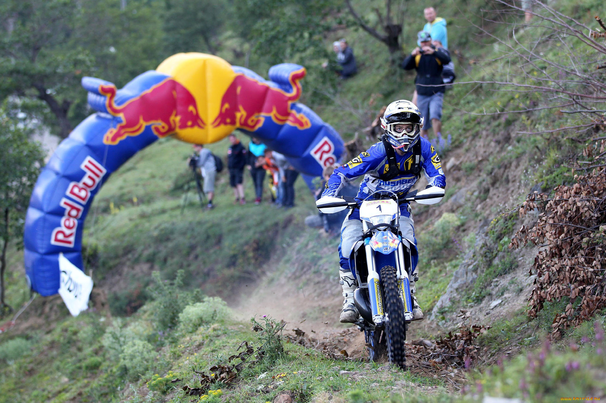 спорт, мотокросс, 2013, гонка