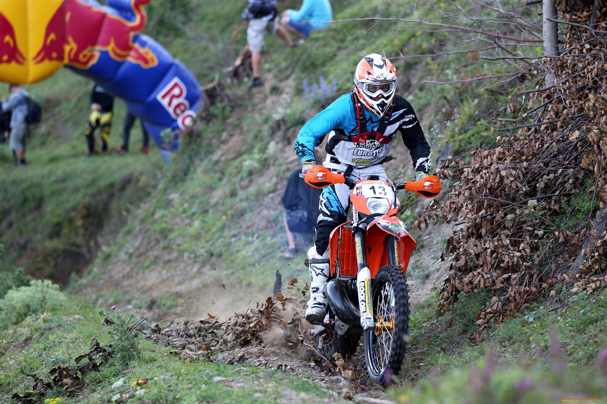 спорт, мотокросс, 2013, гонка