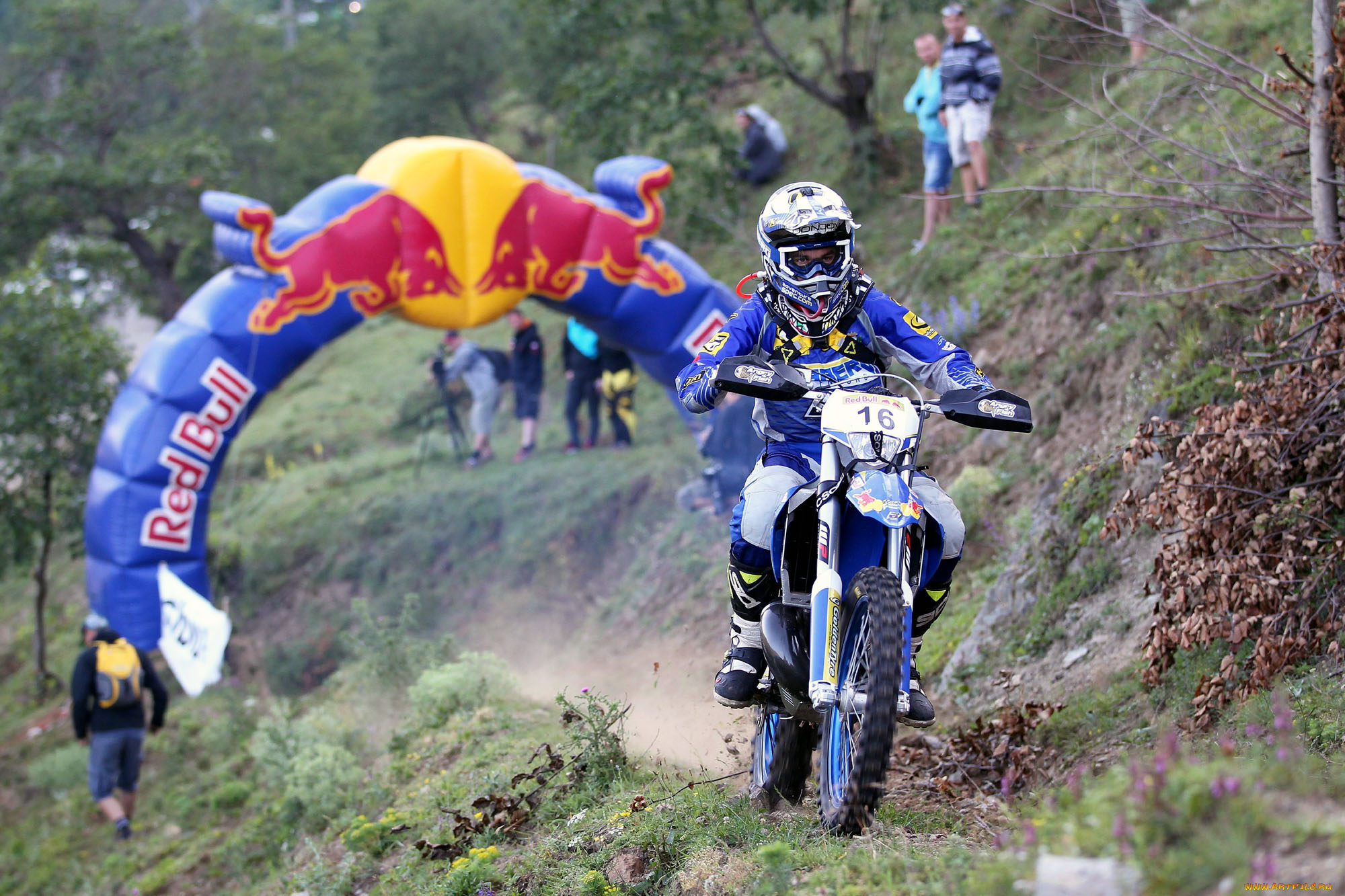 спорт, мотокросс, 2013, гонка