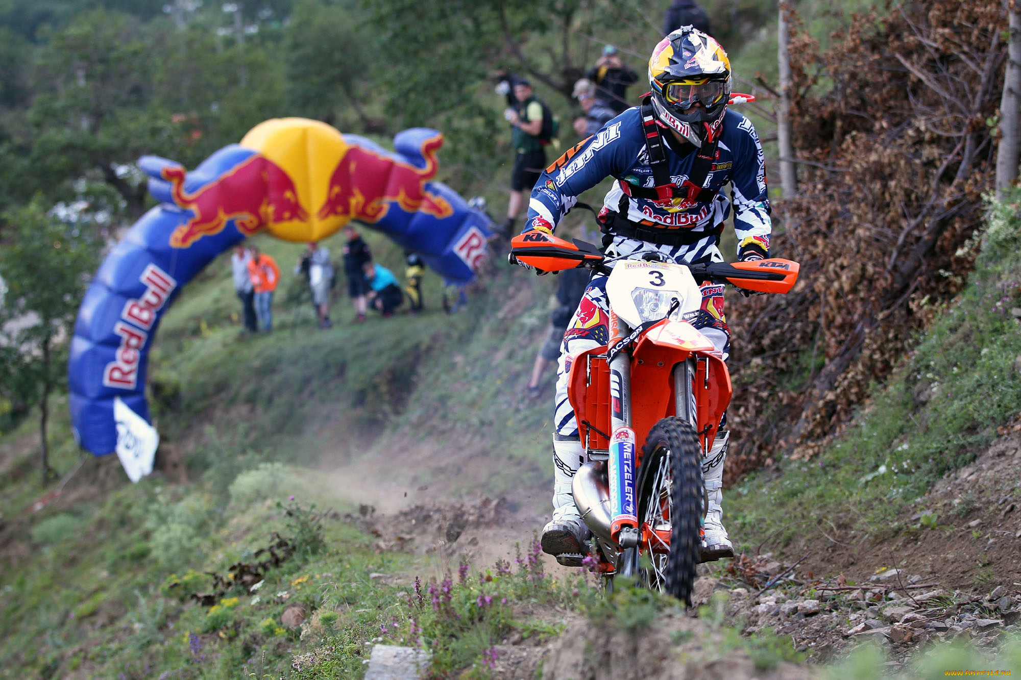 спорт, мотокросс, 2013, гонка