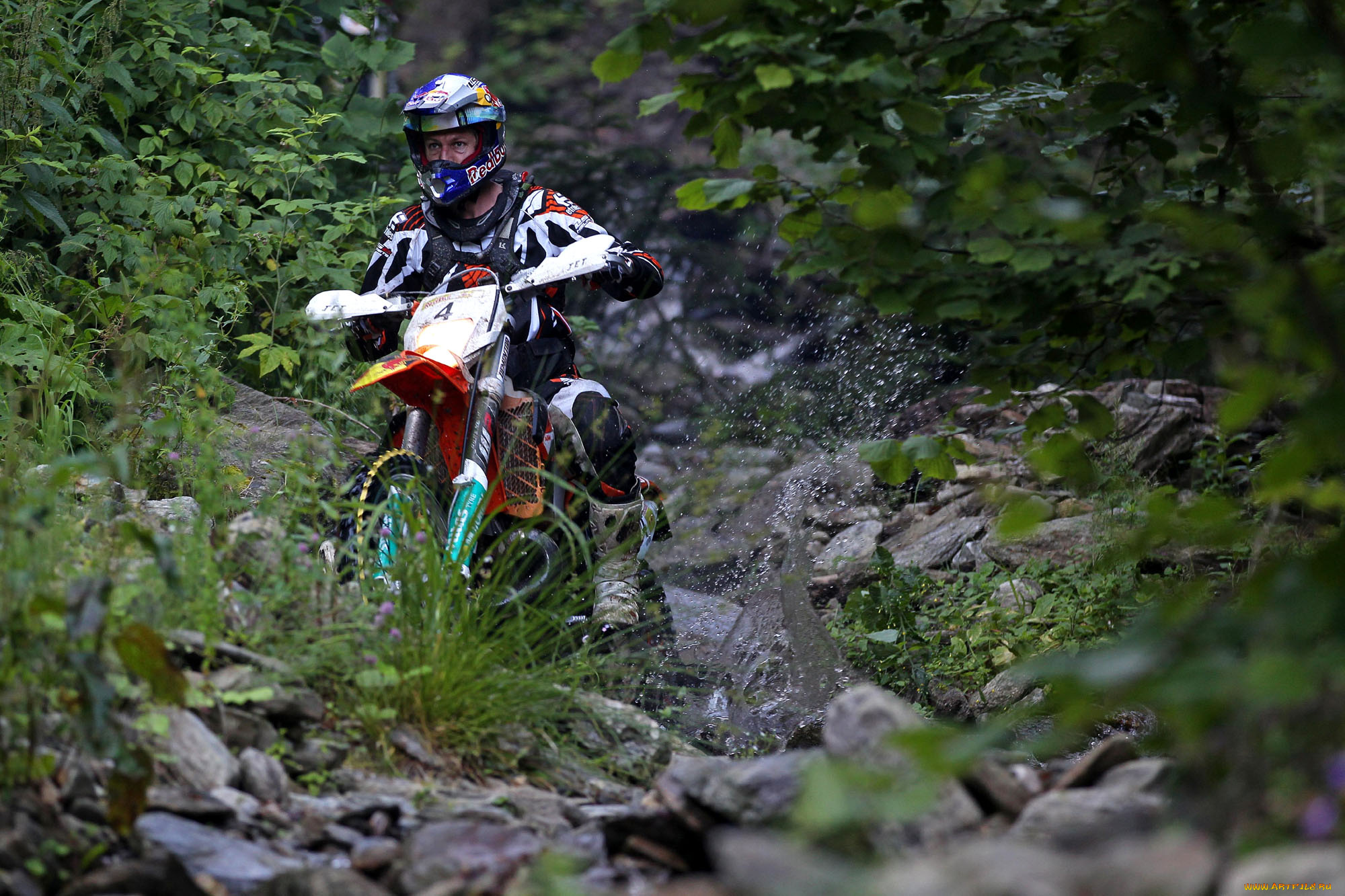 спорт, мотокросс, гонка, 2013