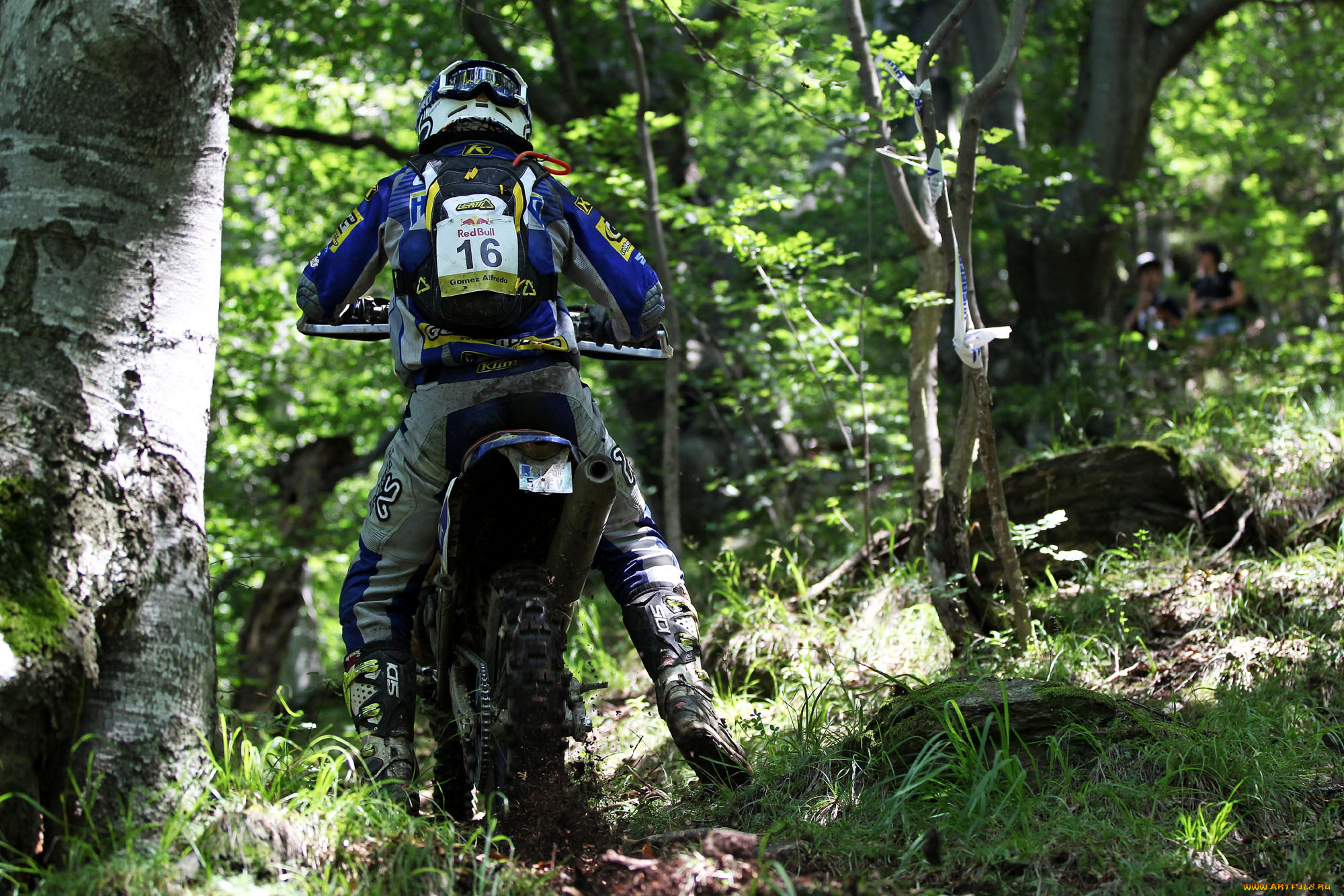 спорт, мотокросс, гонка, 2013