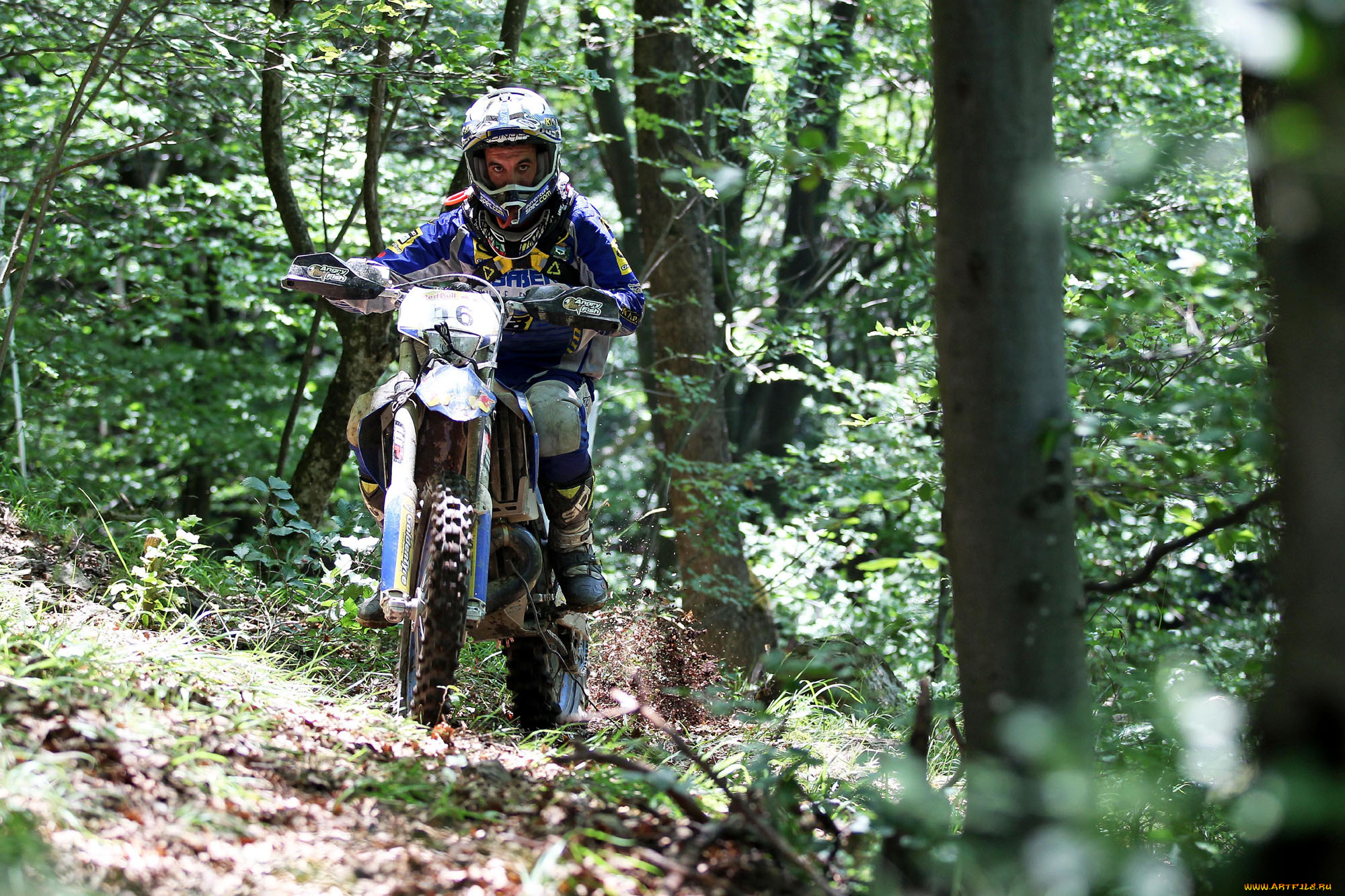 спорт, мотокросс, гонка, 2013