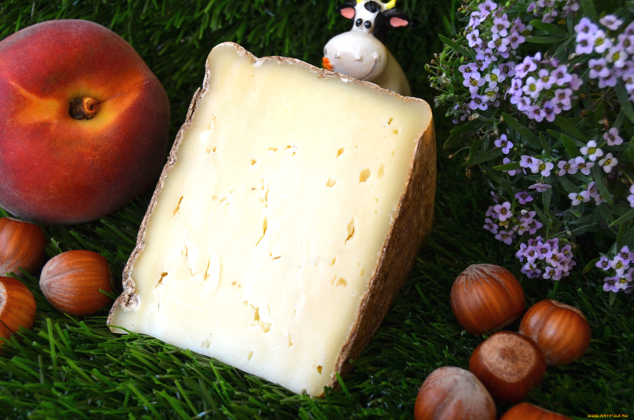 еда, сырные, изделия, сыр