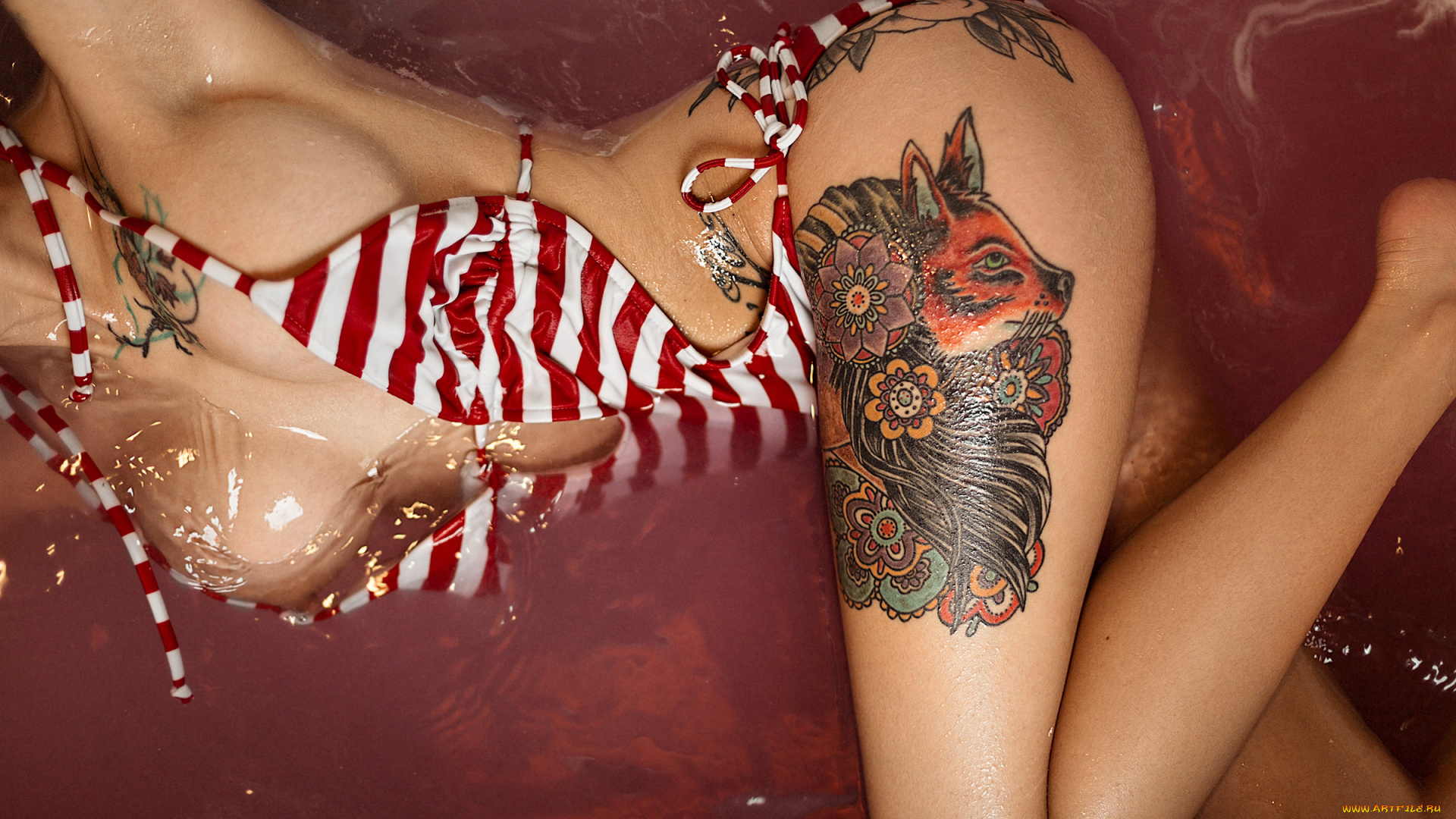 девушки, -unsort, , женские, прелести, photographer, shailine, doney, photo, girl, model, body, ass, tatoo, девушка, тело, купальник, грудь, попка, тату, вода, ванна