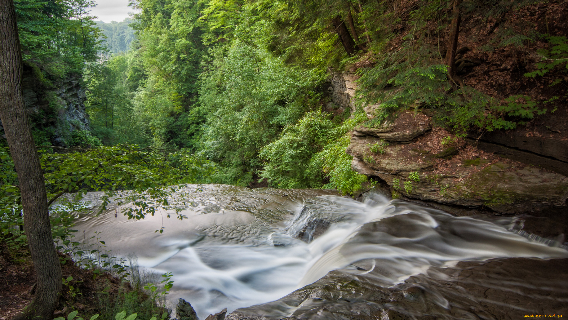 природа, реки, озера, река, лес