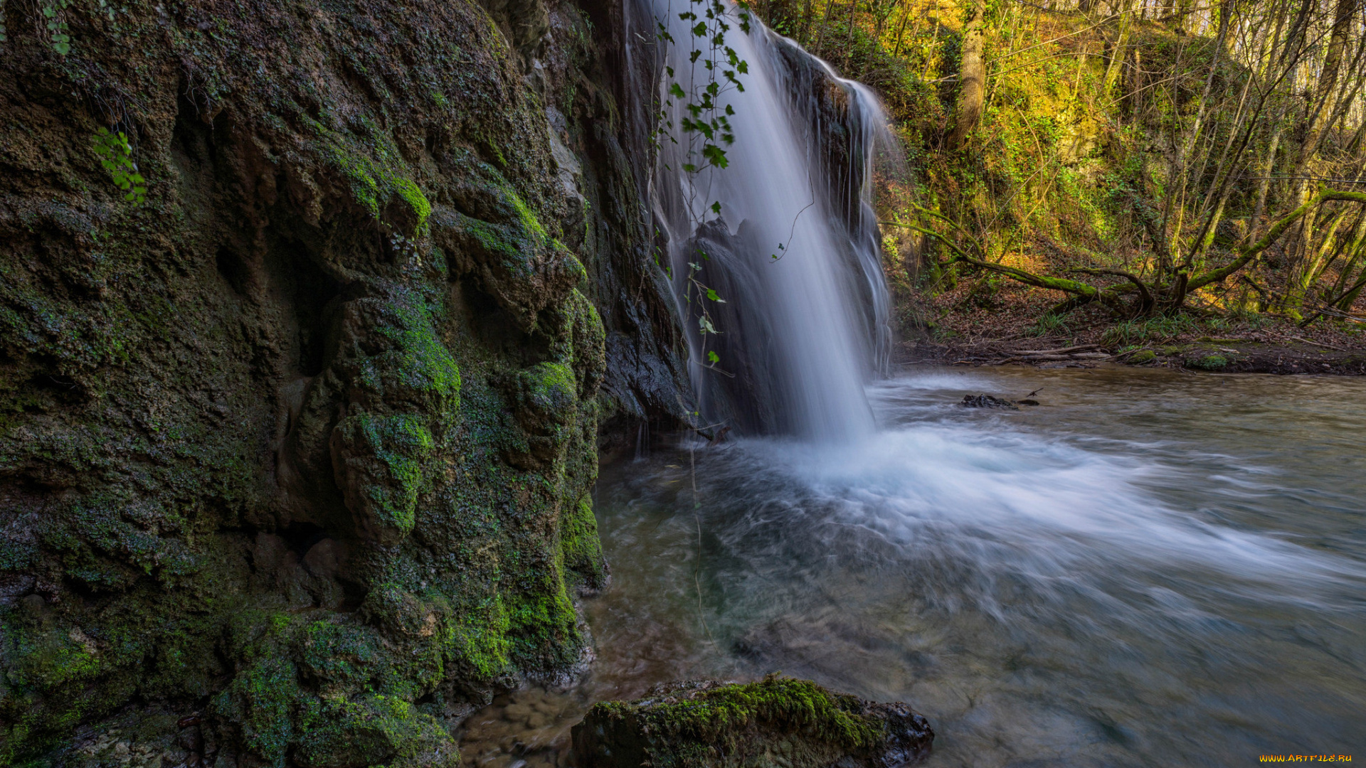 природа, водопады, лес, река, водопад