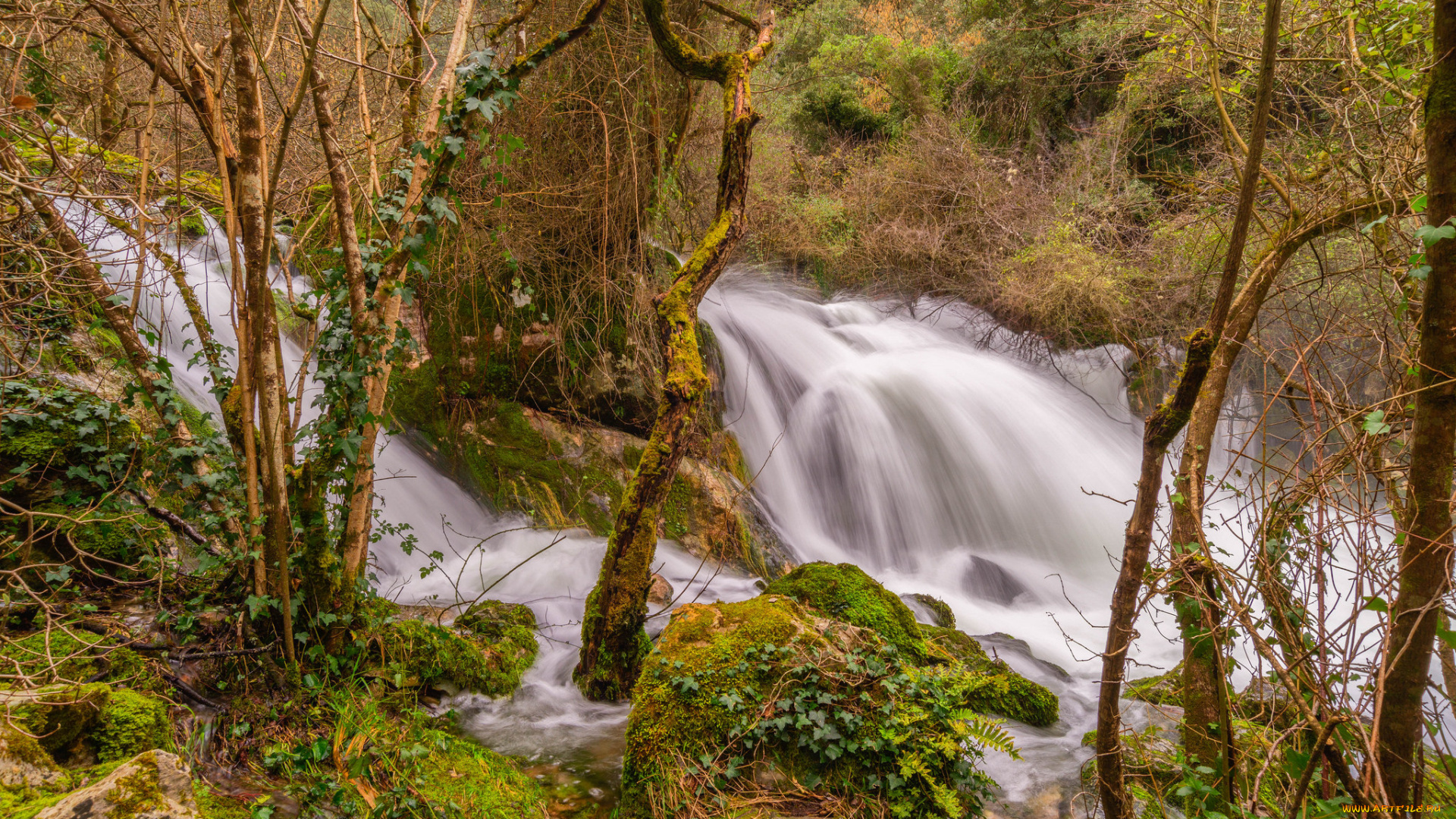 природа, водопады, река, лес, водопад