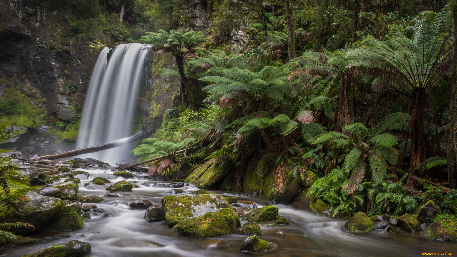 природа, водопады, река, водопад, лес