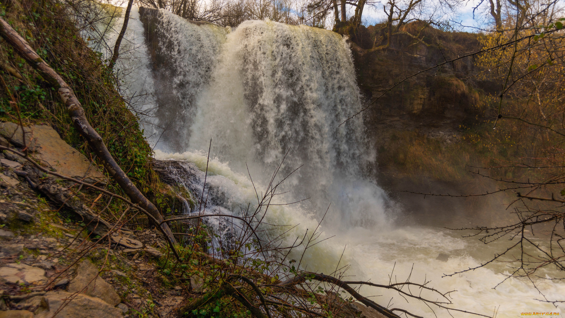 природа, водопады, река, водопад, лес