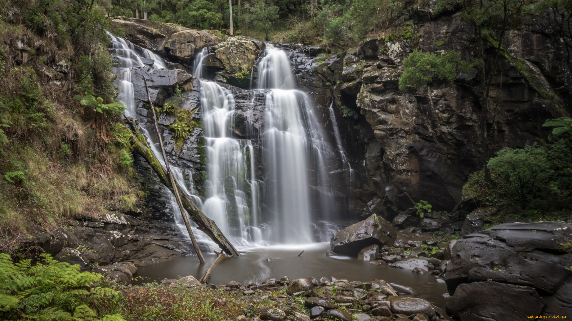 природа, водопады, водопад, лес, река