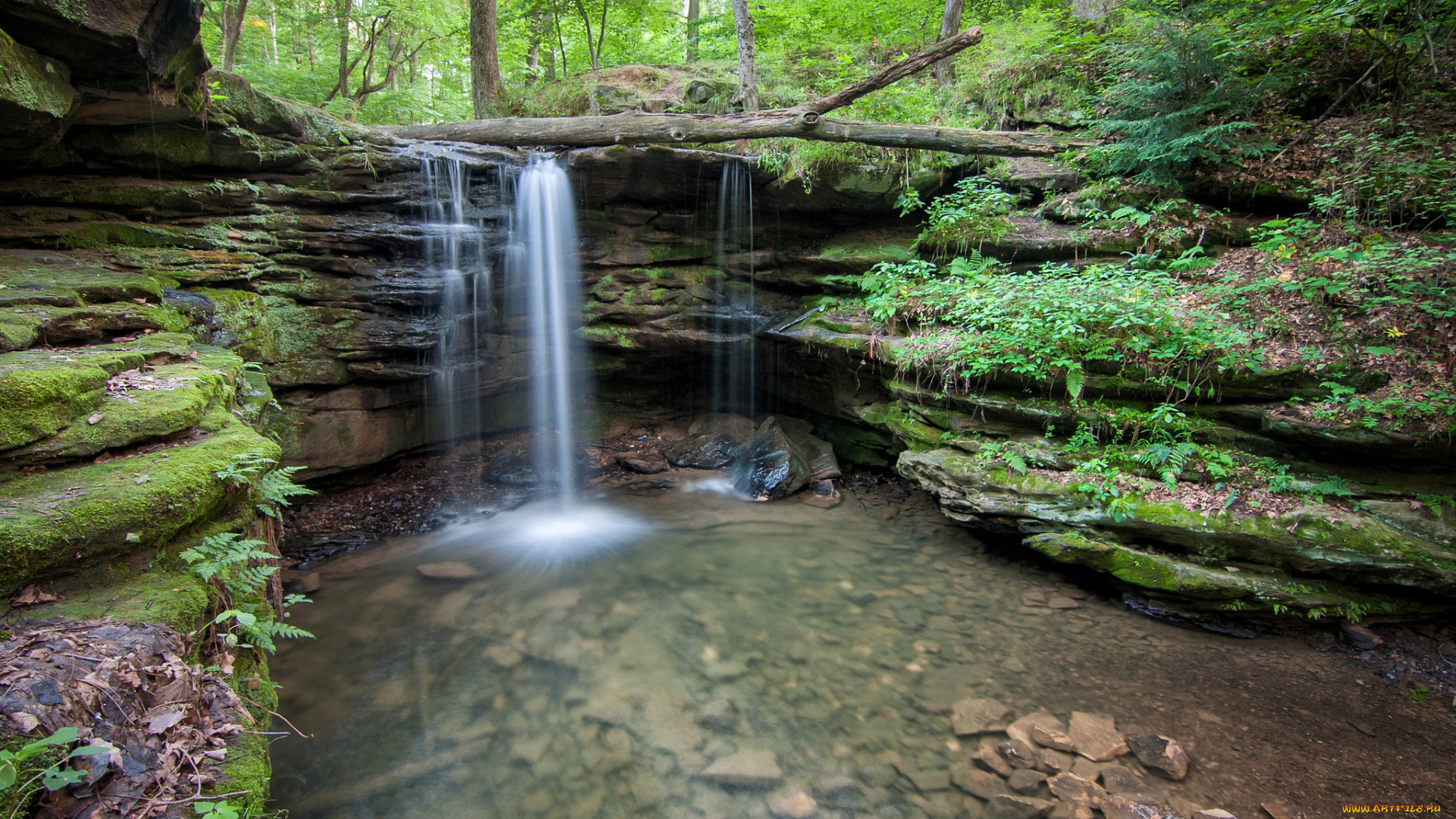 природа, водопады, водопад, лес, река