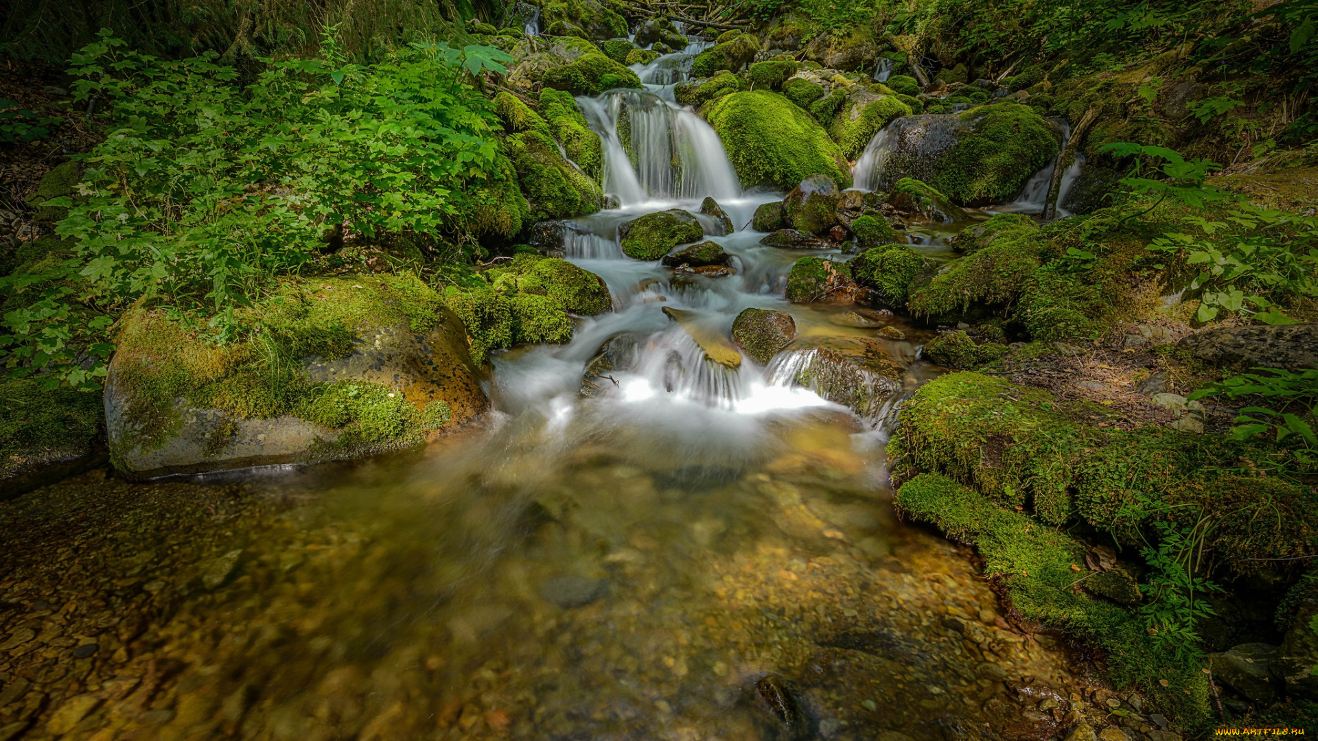 природа, водопады, водопад, река, лес