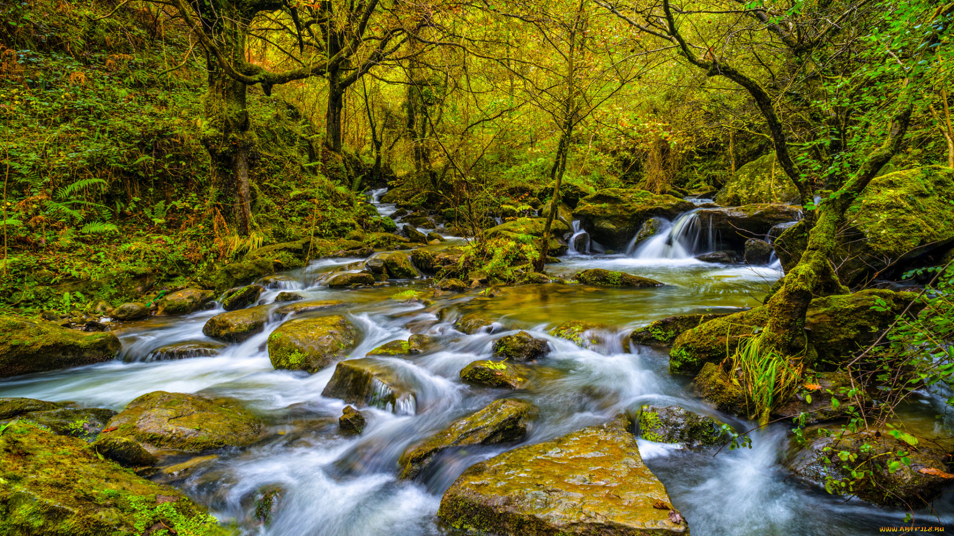 природа, водопады, водопад, река, лес