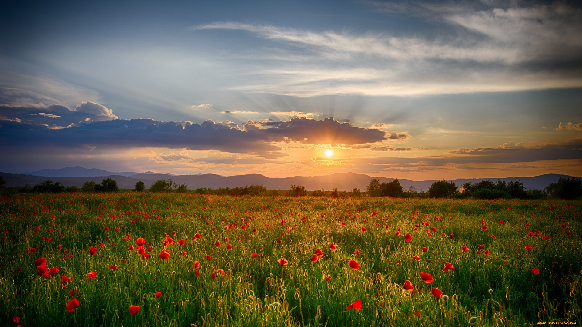 природа, восходы, закаты, рассвет