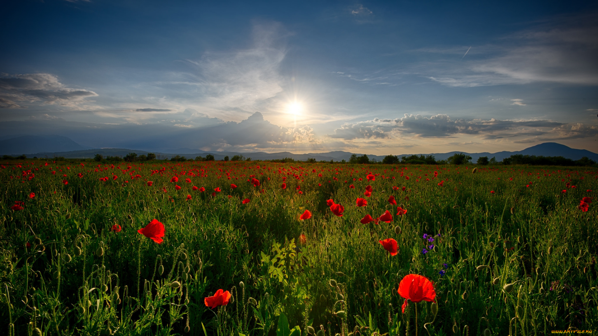 природа, восходы, закаты, рассвет
