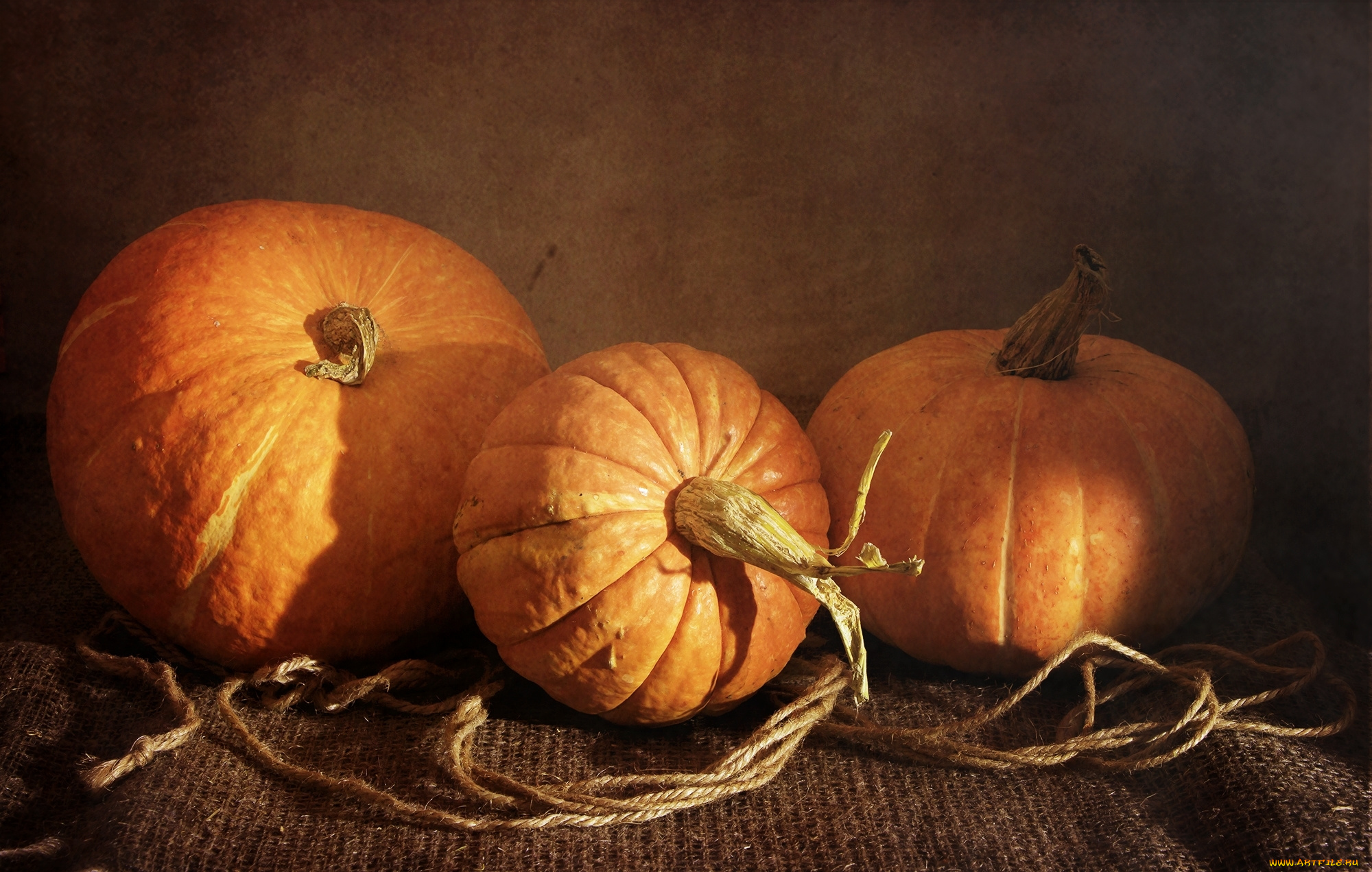 еда, тыква, овощи, оранжевый