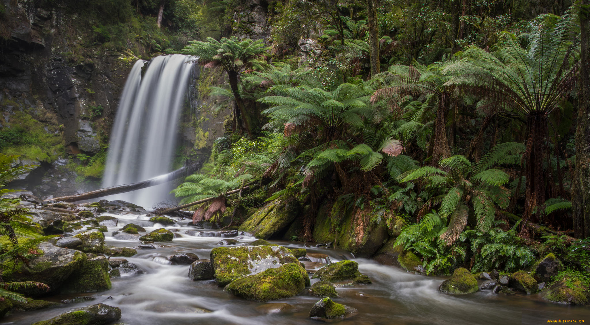 природа, водопады, река, водопад, лес