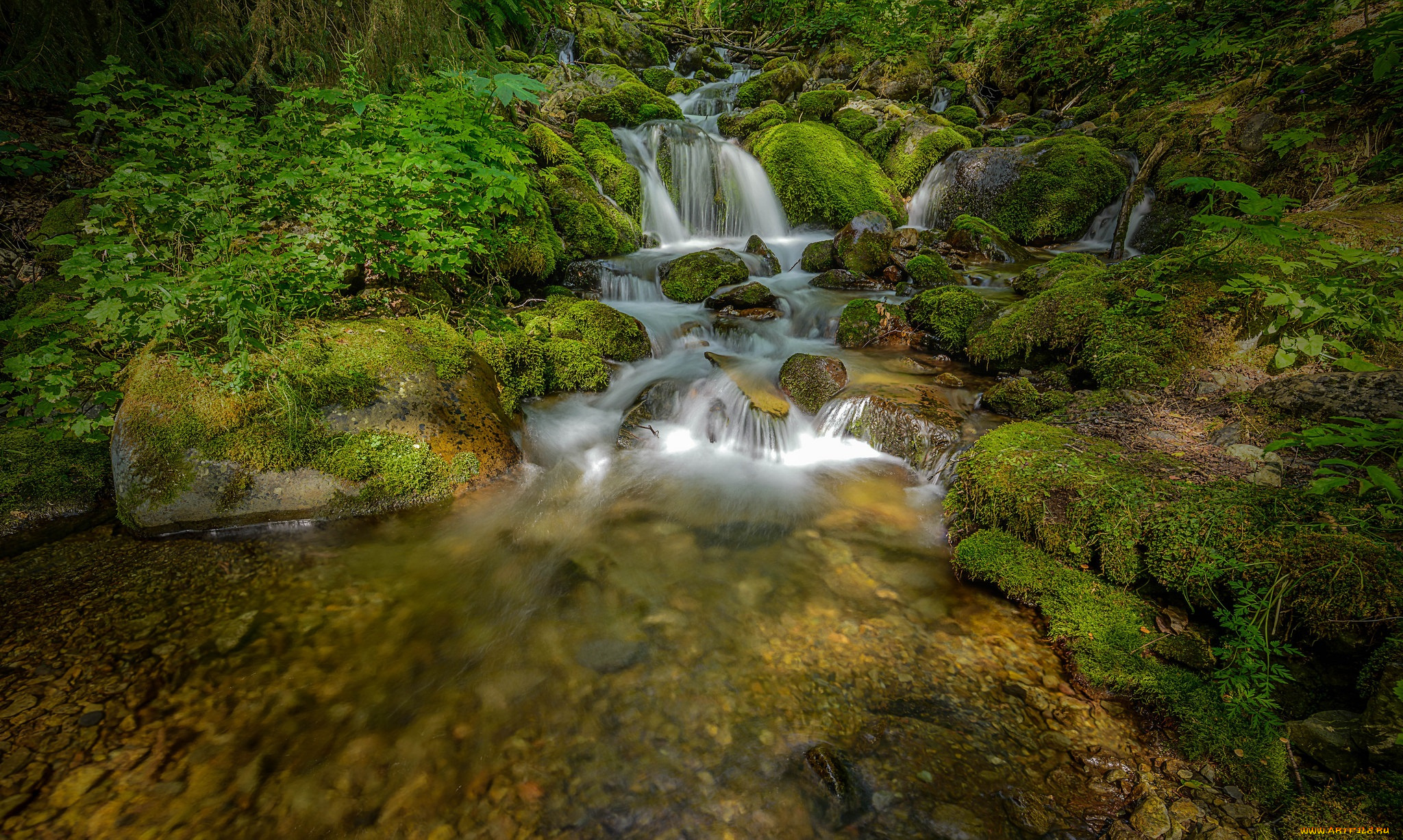 природа, водопады, водопад, река, лес