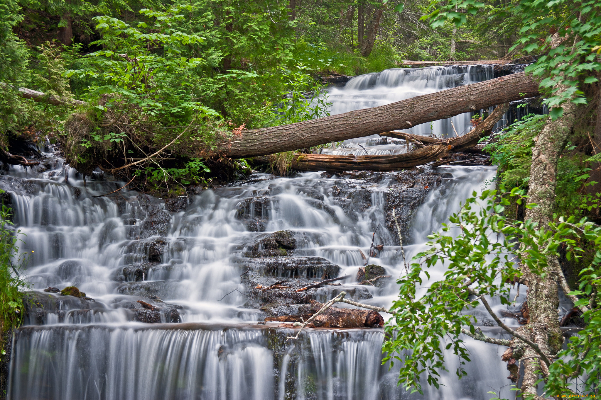 природа, водопады, лес, река, водопад