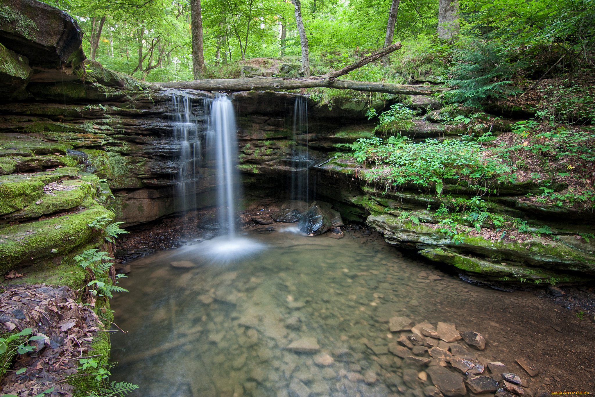природа, водопады, водопад, лес, река