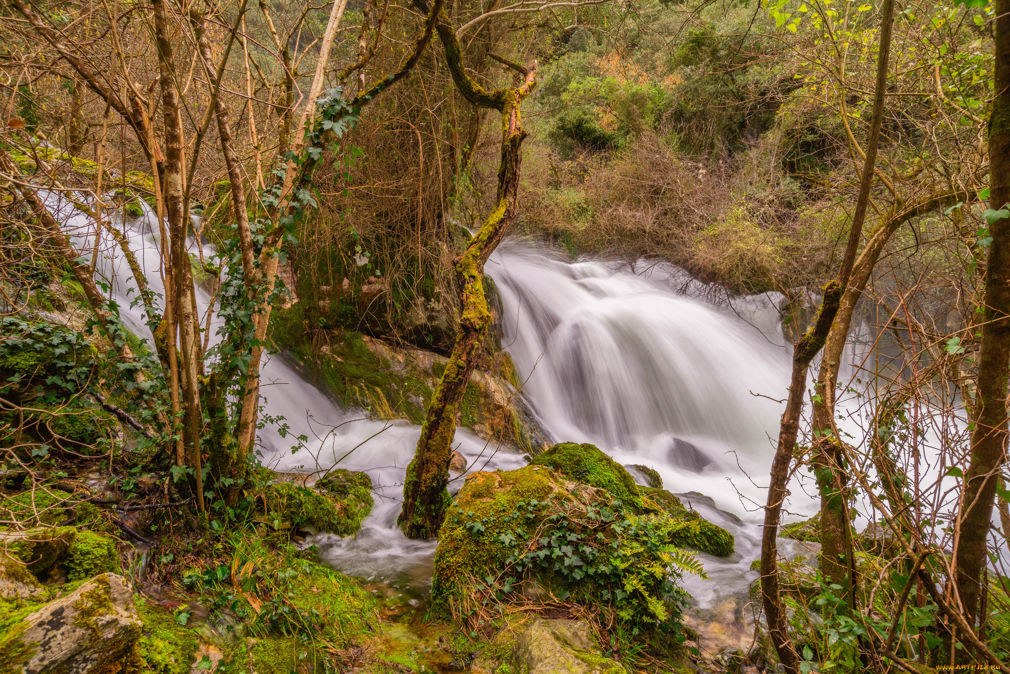 природа, водопады, река, лес, водопад