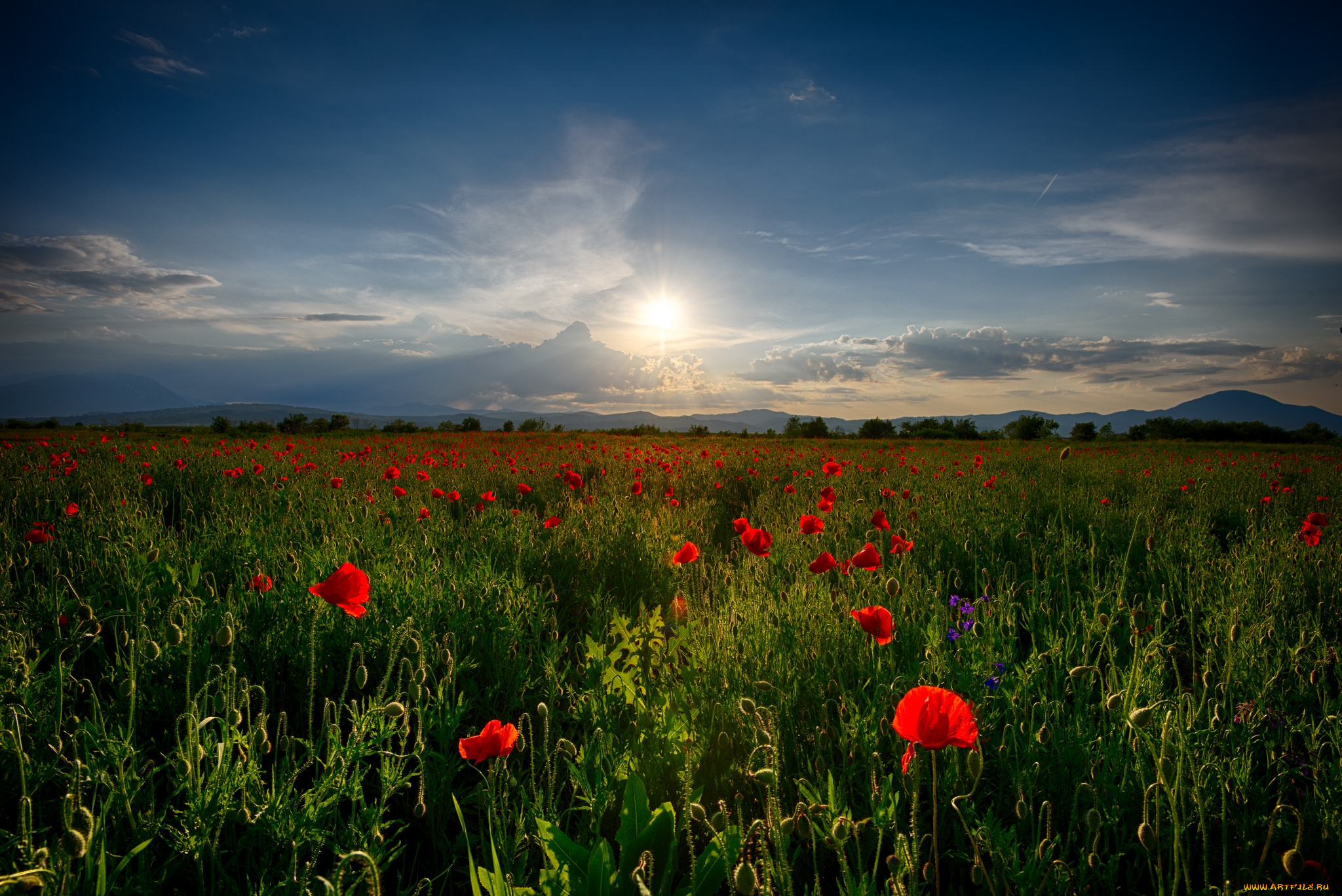природа, восходы, закаты, рассвет