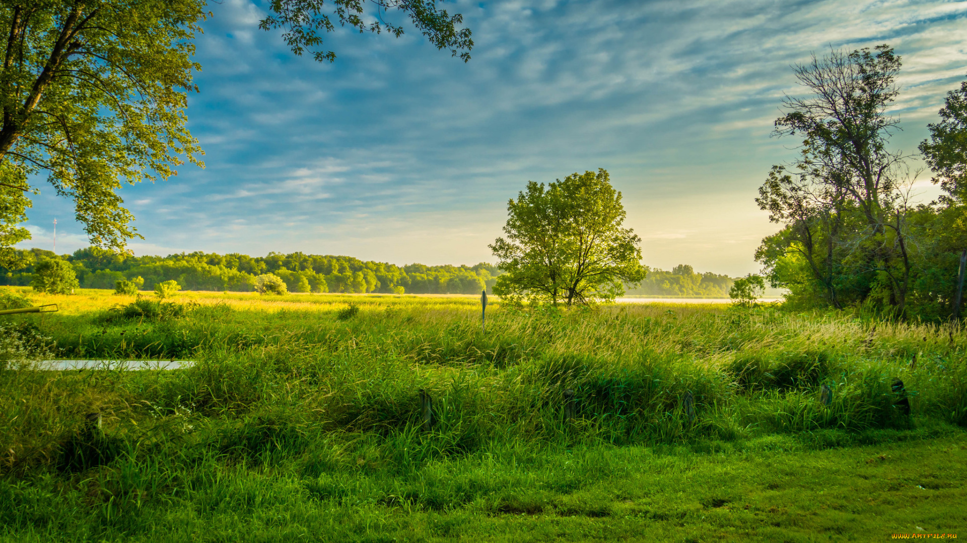 природа, пейзажи, лес, река
