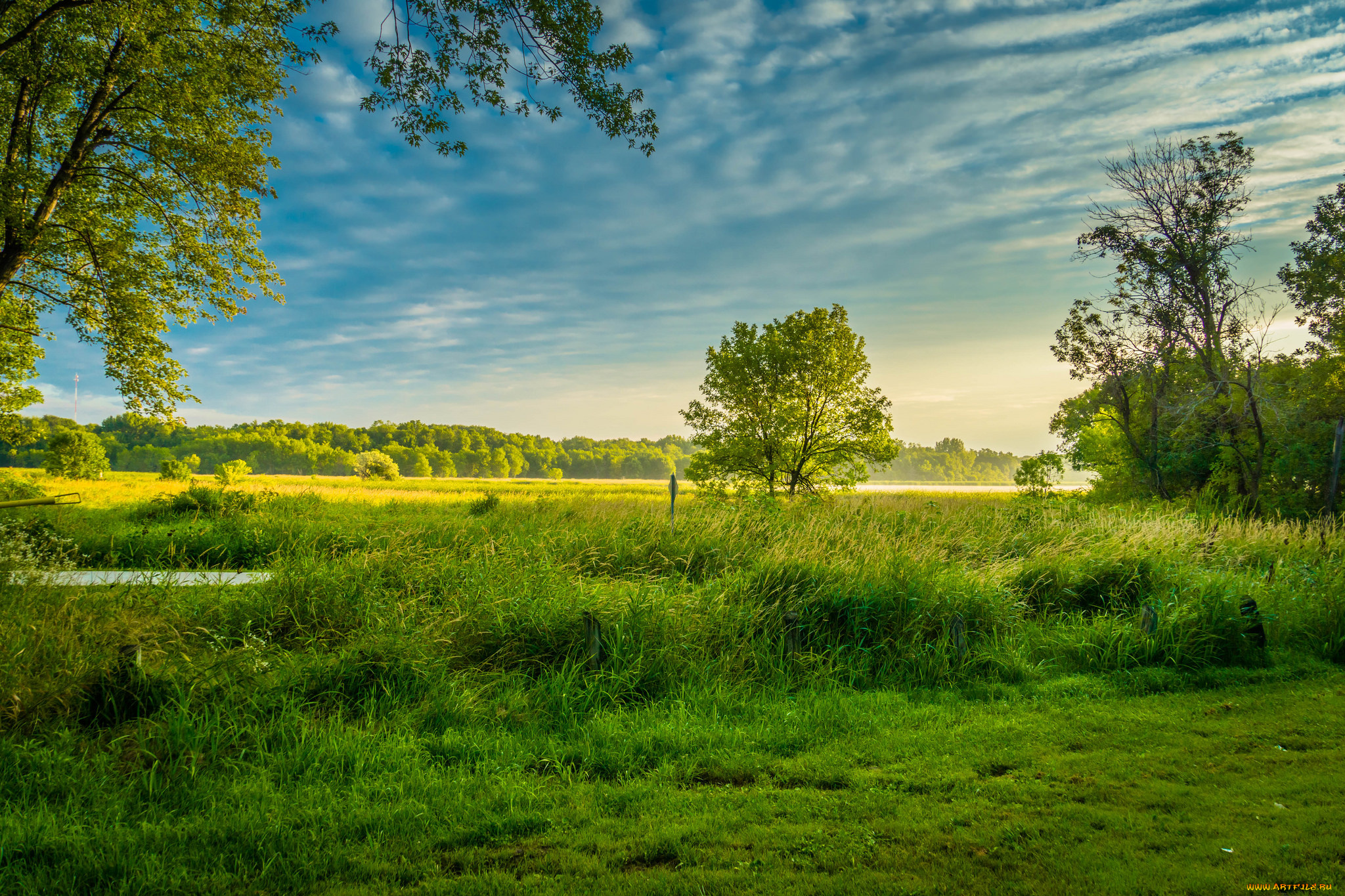 природа, пейзажи, лес, река