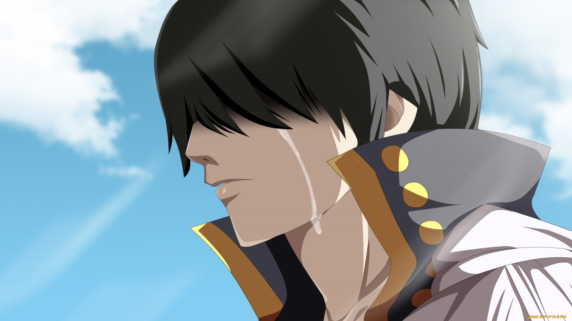 аниме, fairy, tail, зереф