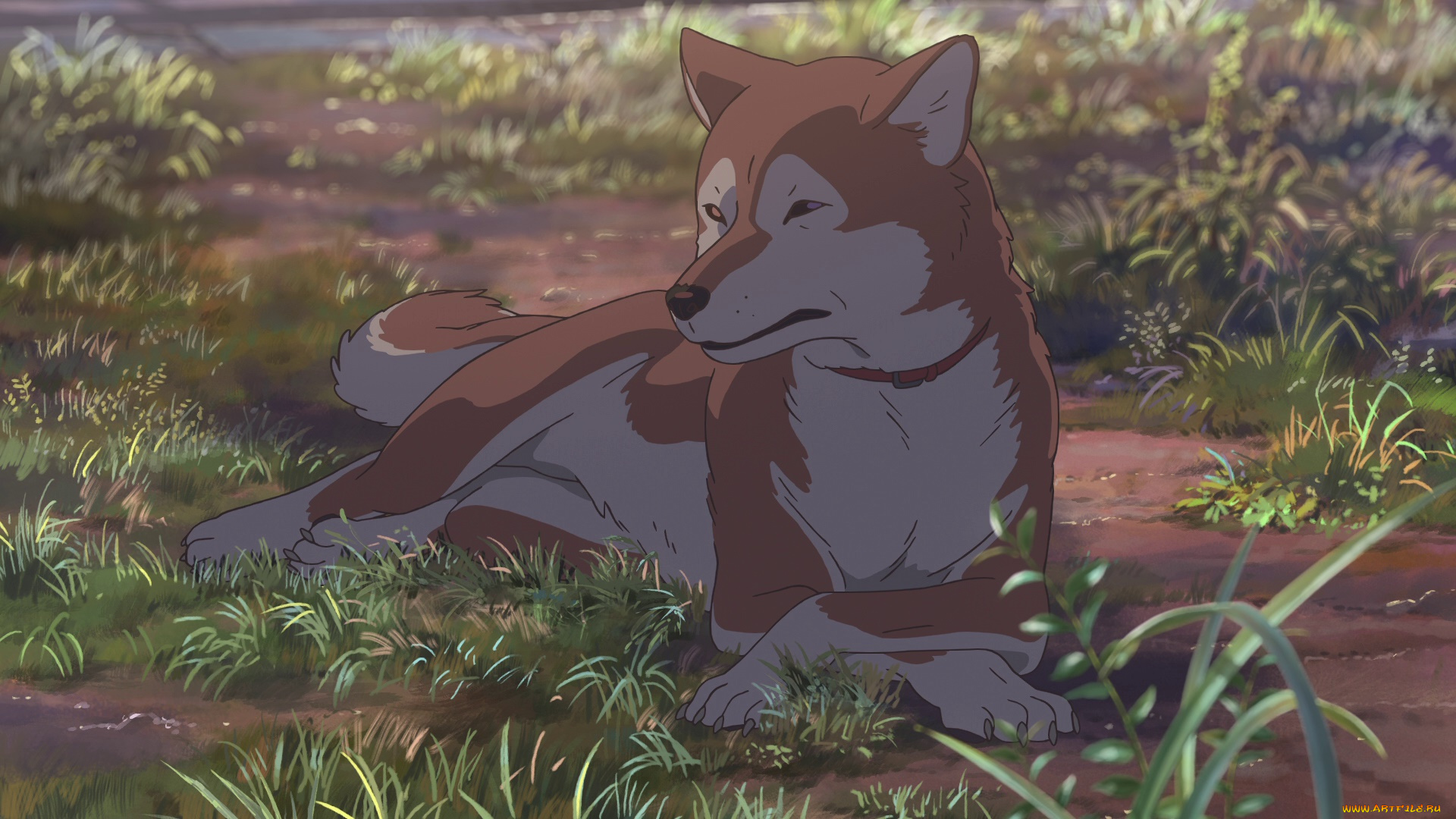 аниме, kimi, no, na, wa, kimi, no, na, wa